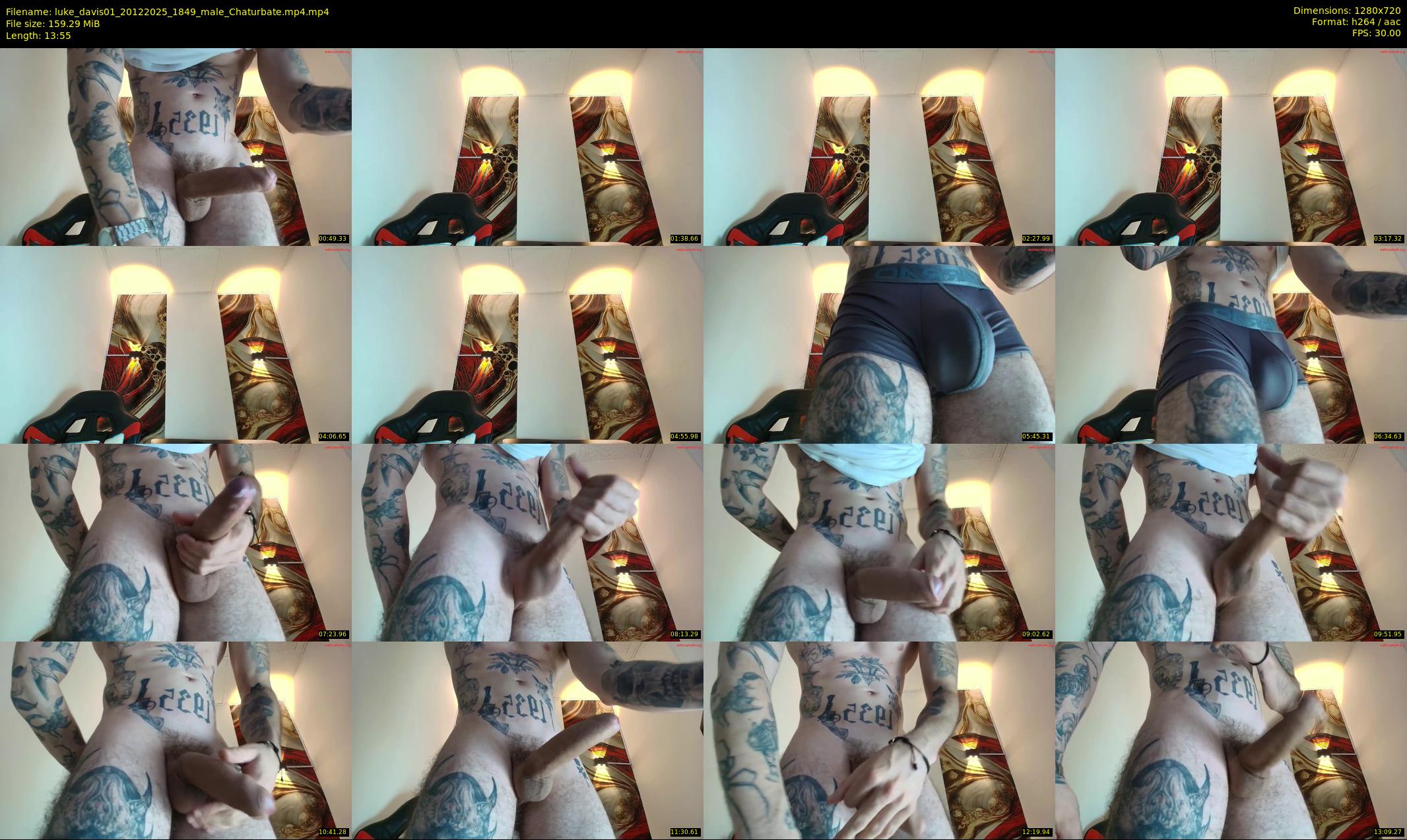 luke_davis01 — 14 minute Chaturbate male cam show recording, 720p, Dec 20, 2025