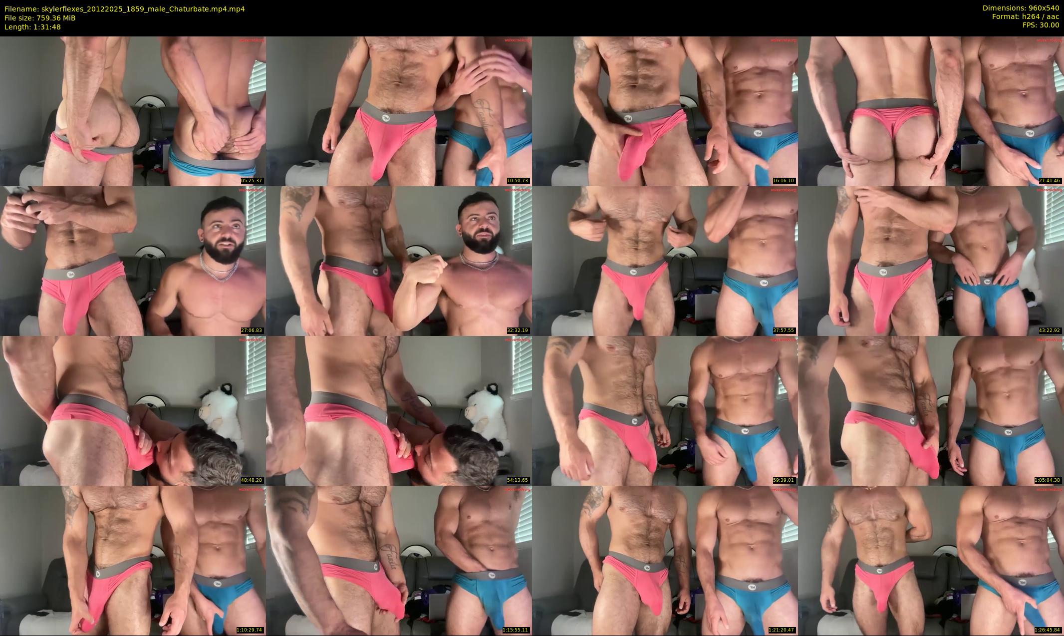 skylerflexes — 92 minute Chaturbate male cam show recording, 480p, Dec 20, 2025