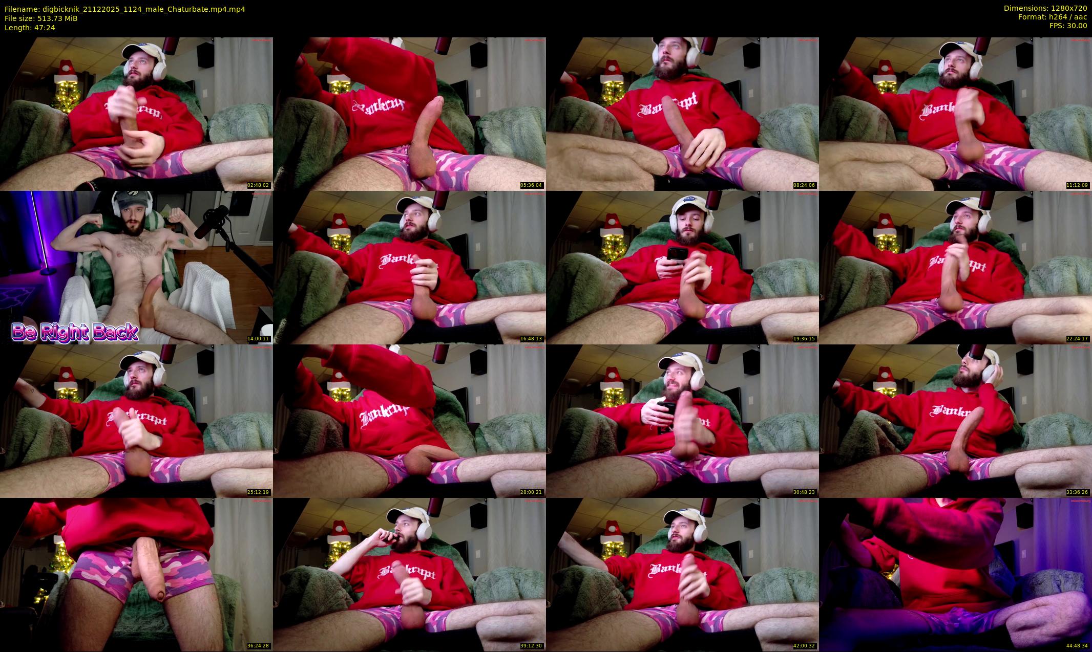 digbicknik — 48 minute Chaturbate male cam show recording, 720p, Dec 21, 2025