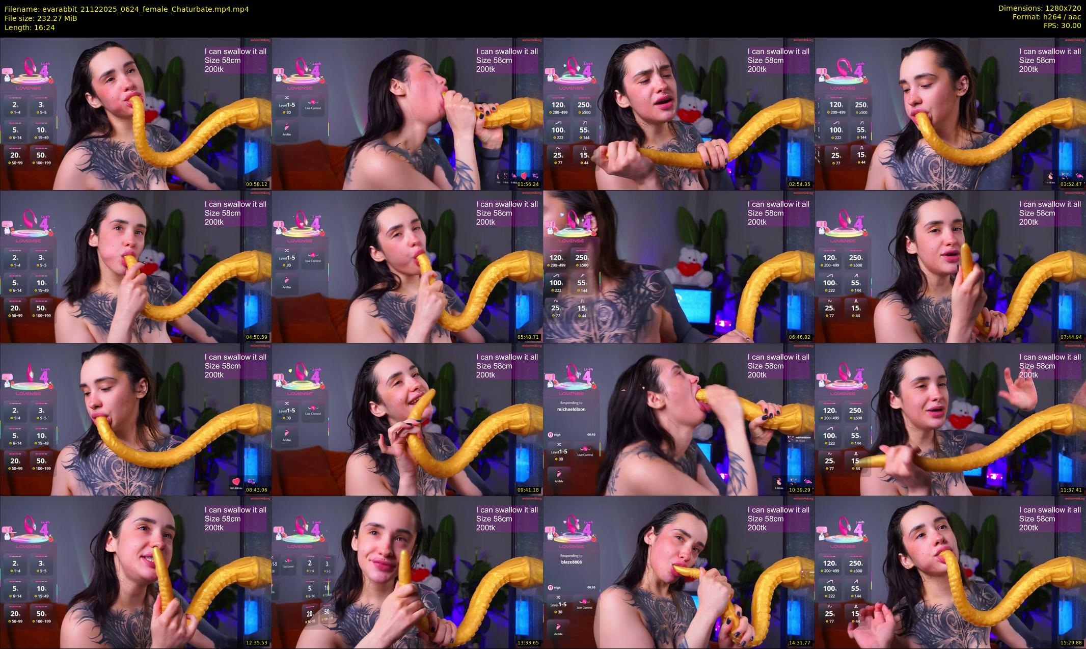 evarabbit — 17 minute Chaturbate female cam show recording, 720p, Dec 21, 2025