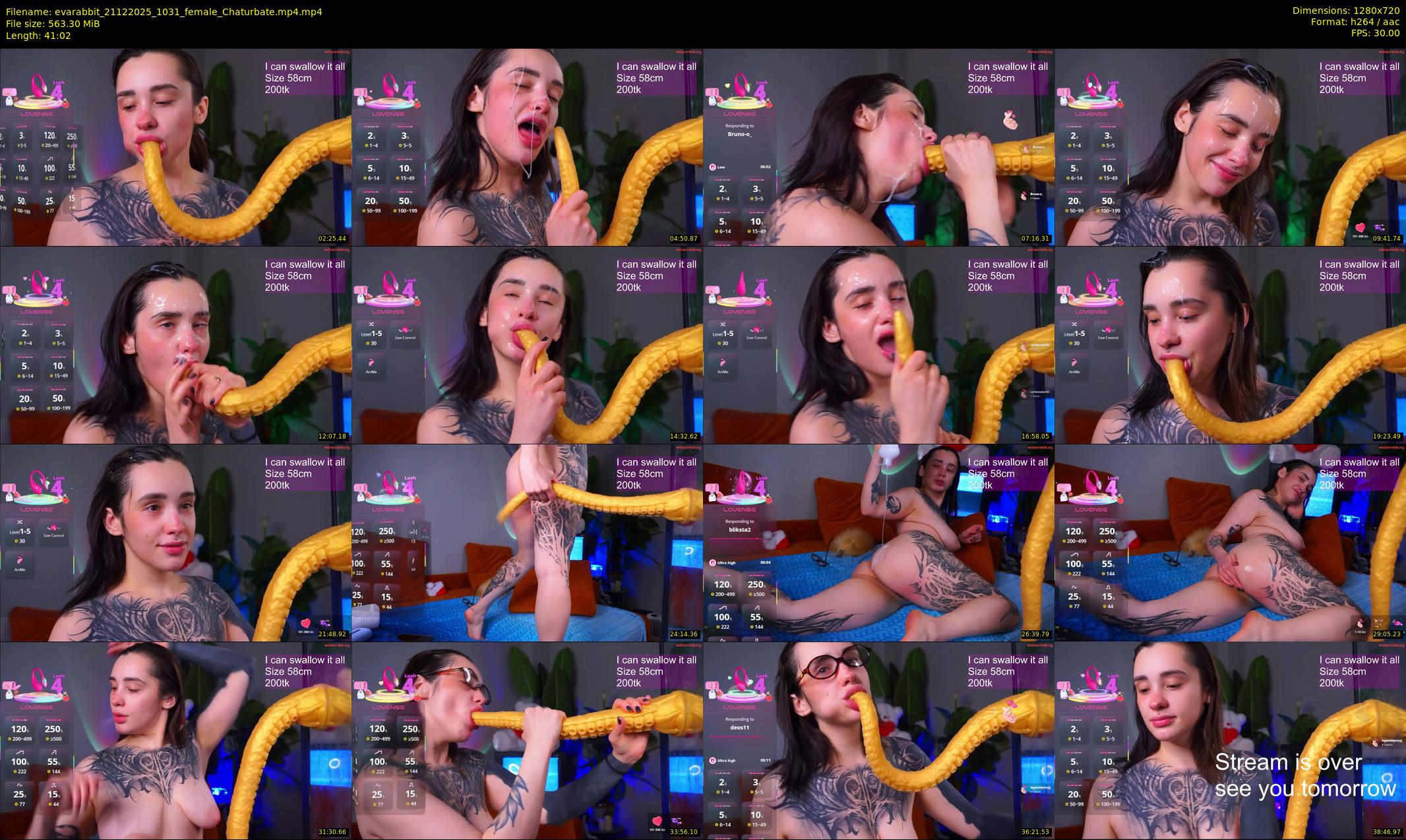 evarabbit — 42 minute Chaturbate female cam show recording, 720p, Dec 21, 2025