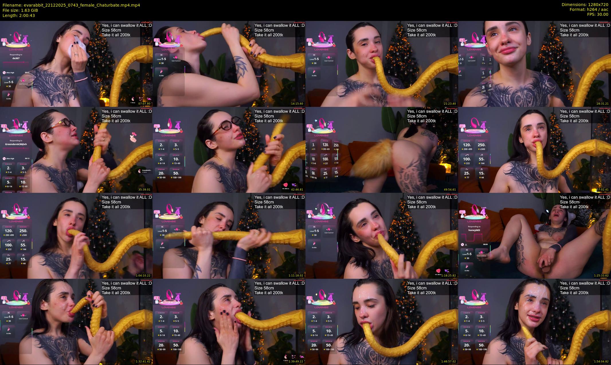 evarabbit — 121 minute Chaturbate female cam show recording, 720p, Dec 22, 2025
