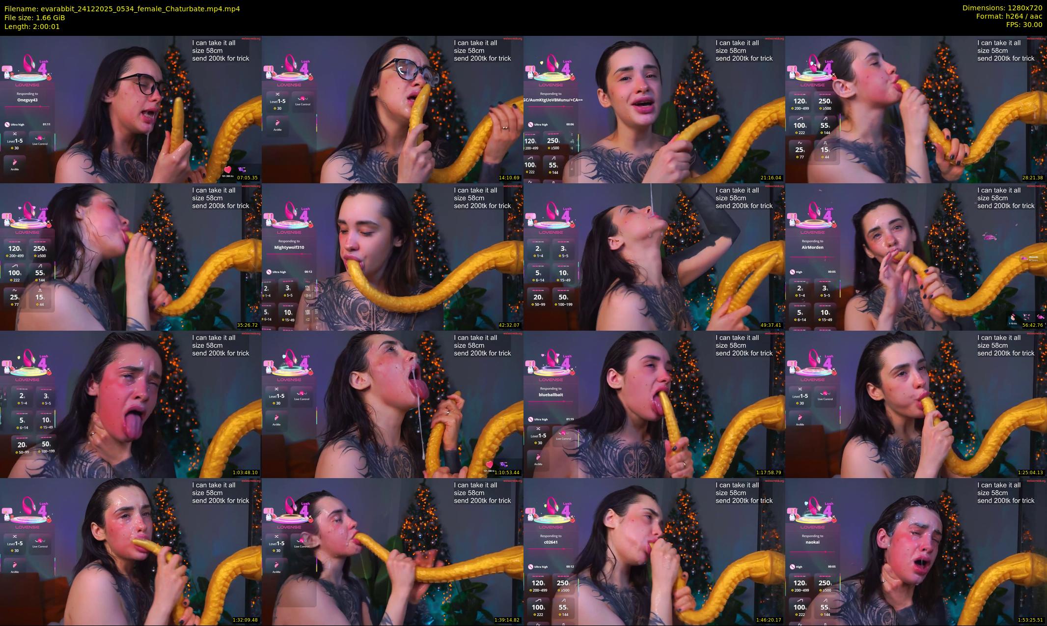 evarabbit — 121 minute Chaturbate female cam show recording, 720p, Dec 24, 2025