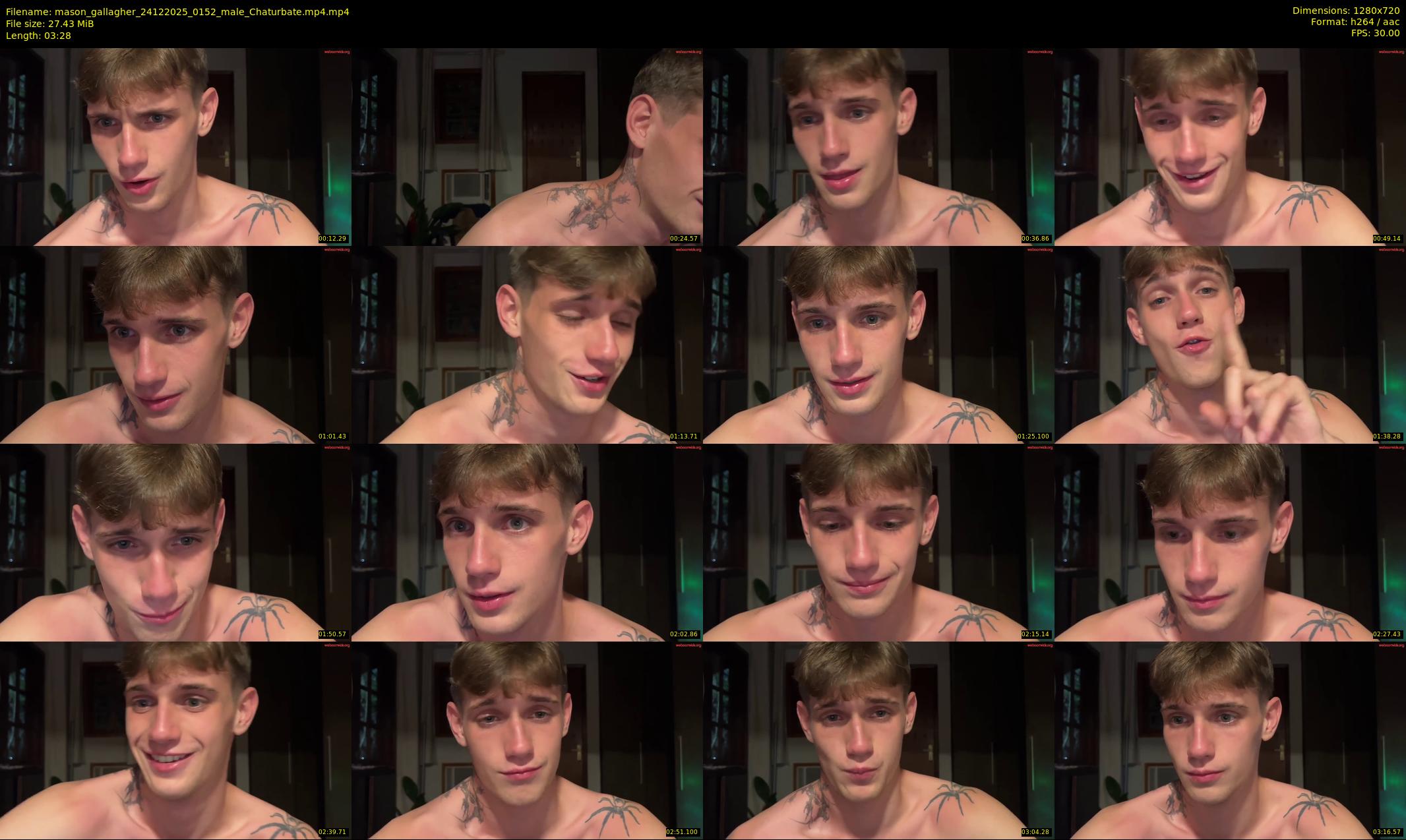 mason_gallagher — 4 minute Chaturbate male cam show recording, 720p, Dec 24, 2025