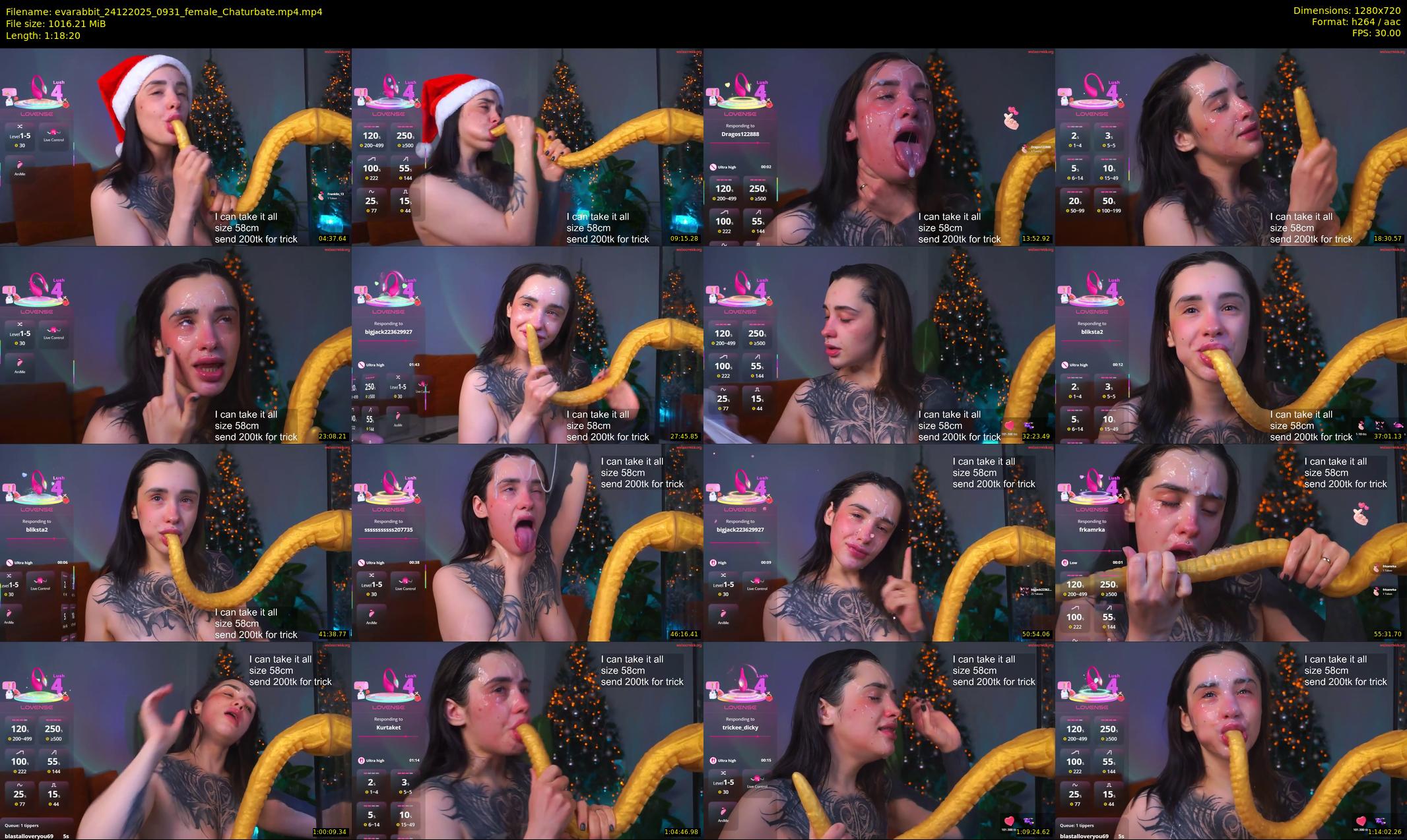 evarabbit — 79 minute Chaturbate female cam show recording, 720p, Dec 24, 2025