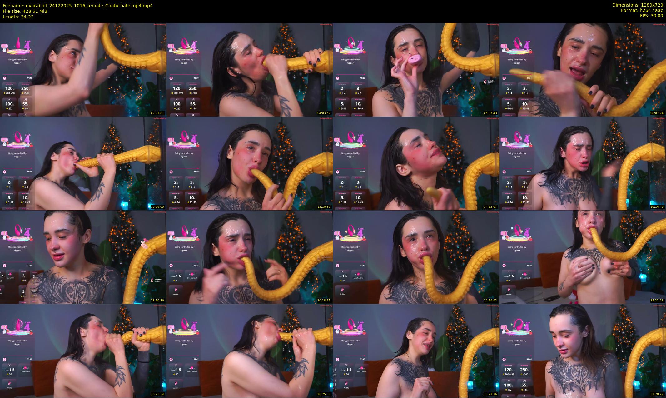 evarabbit — 35 minute Chaturbate female cam show recording, 720p, Dec 24, 2025