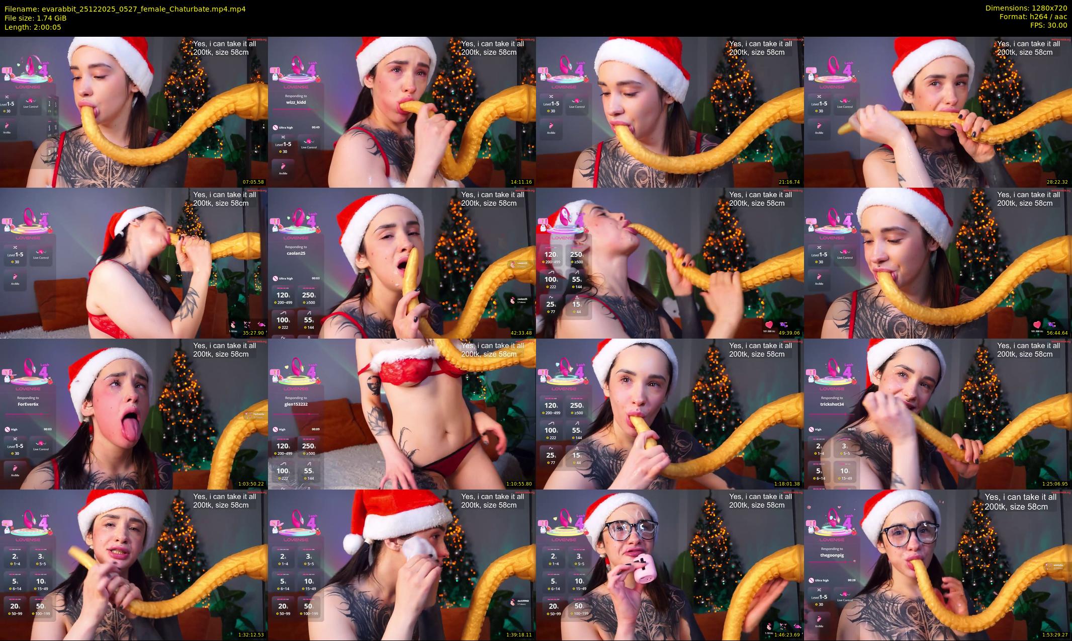 evarabbit — 121 minute Chaturbate female cam show recording, 720p, Dec 25, 2025