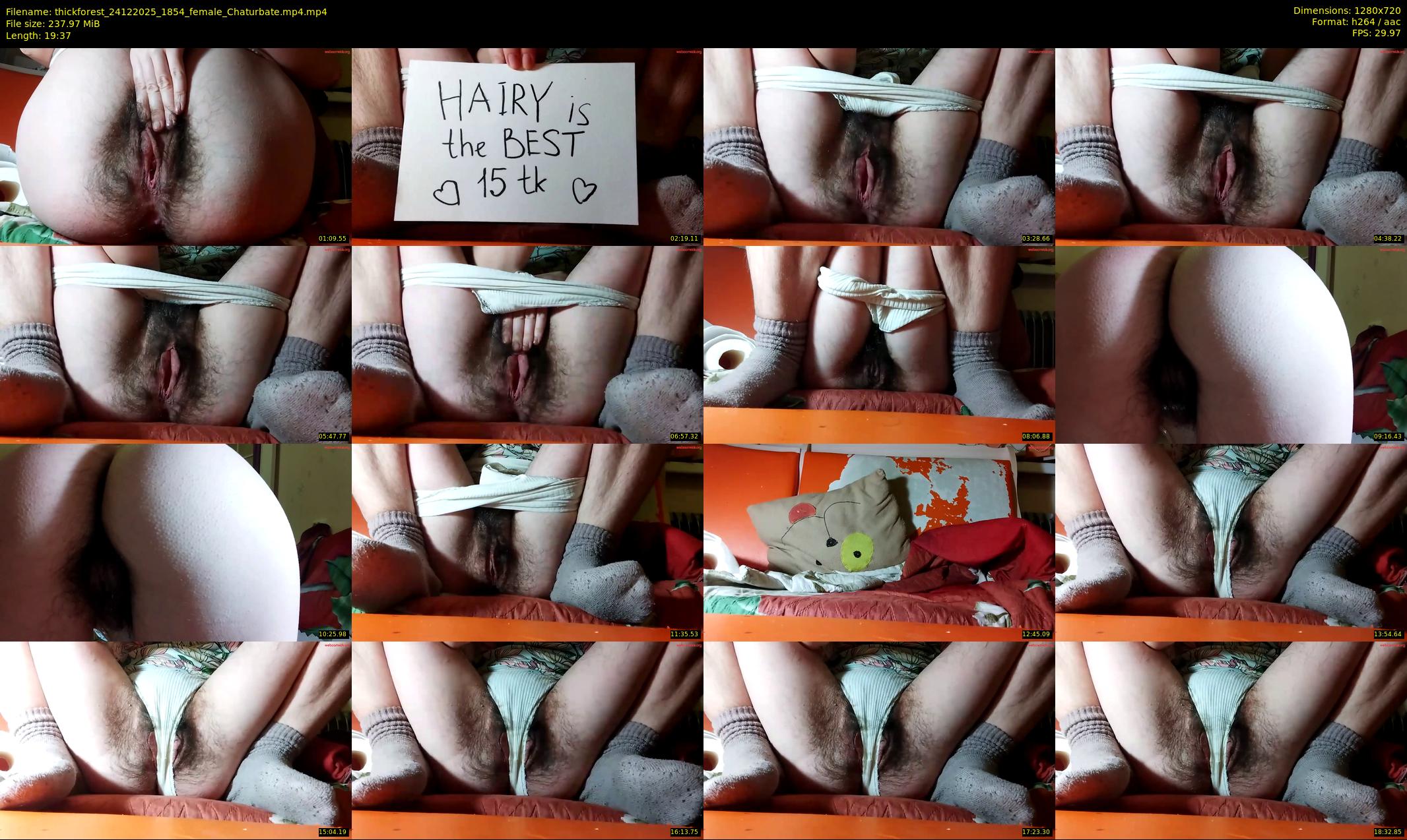 thickforest — 20 minute Chaturbate female cam show recording, 720p, Dec 24, 2025