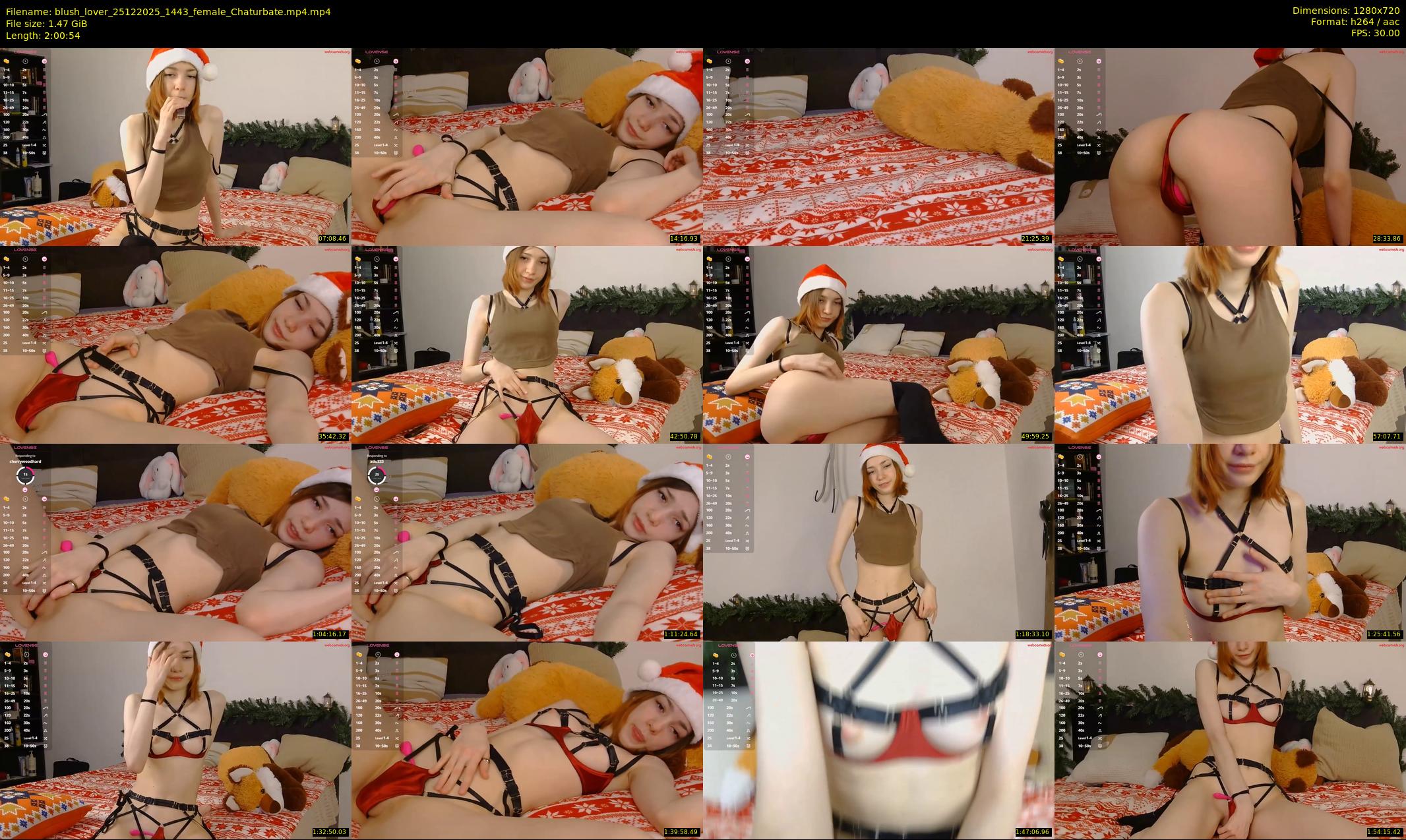 blush_lover — 121 minute Chaturbate female cam show recording, 720p, Dec 25, 2025