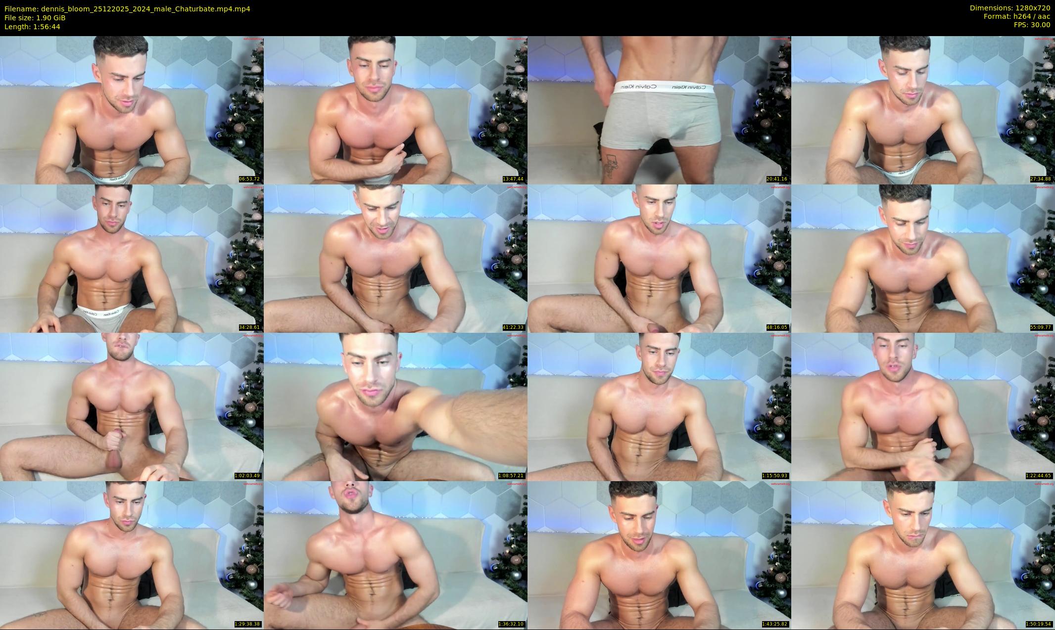 dennis_bloom — 117 minute Chaturbate male cam show recording, 720p, Dec 25, 2025