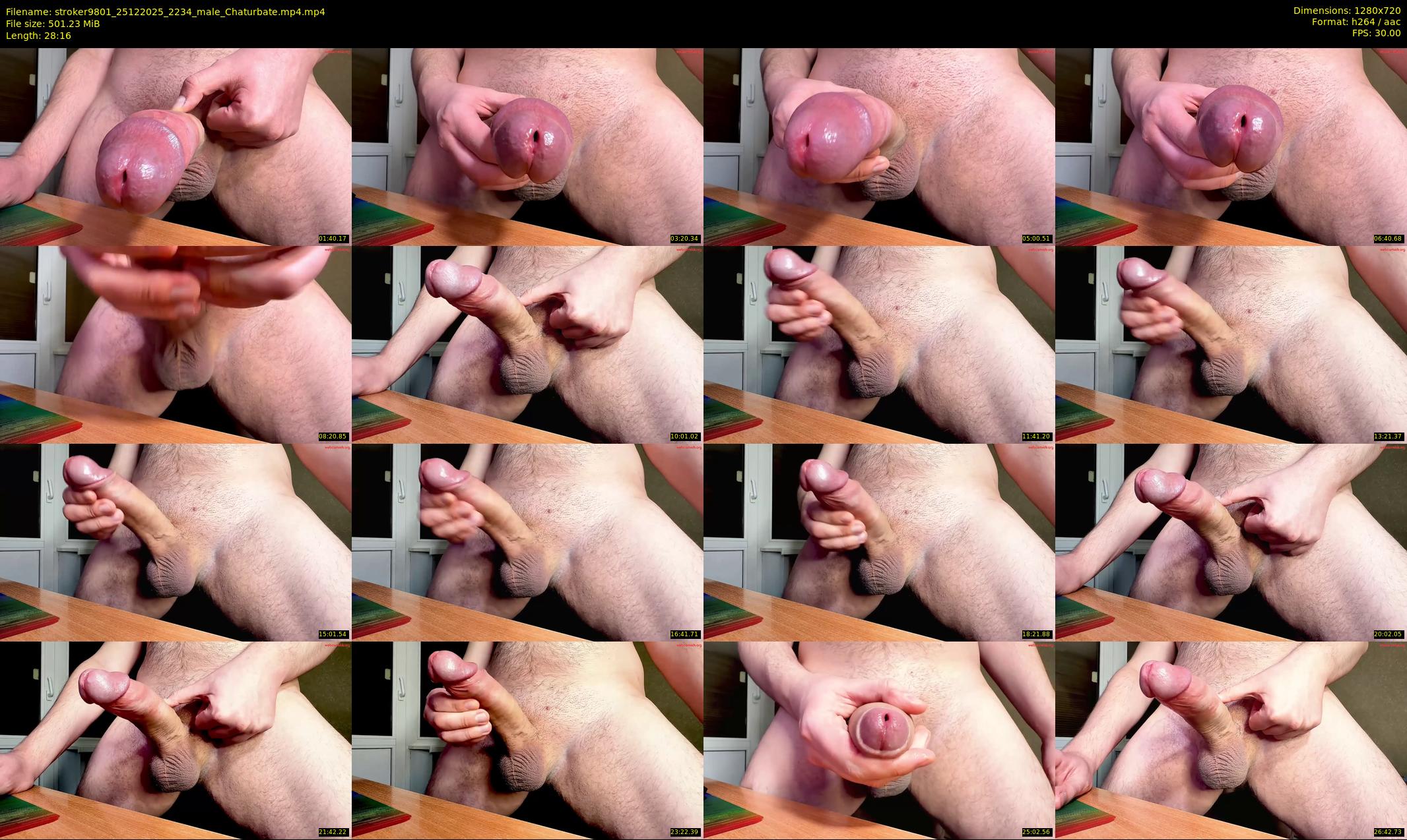 stroker9801 — 29 minute Chaturbate male cam show recording, 720p, Dec 25, 2025