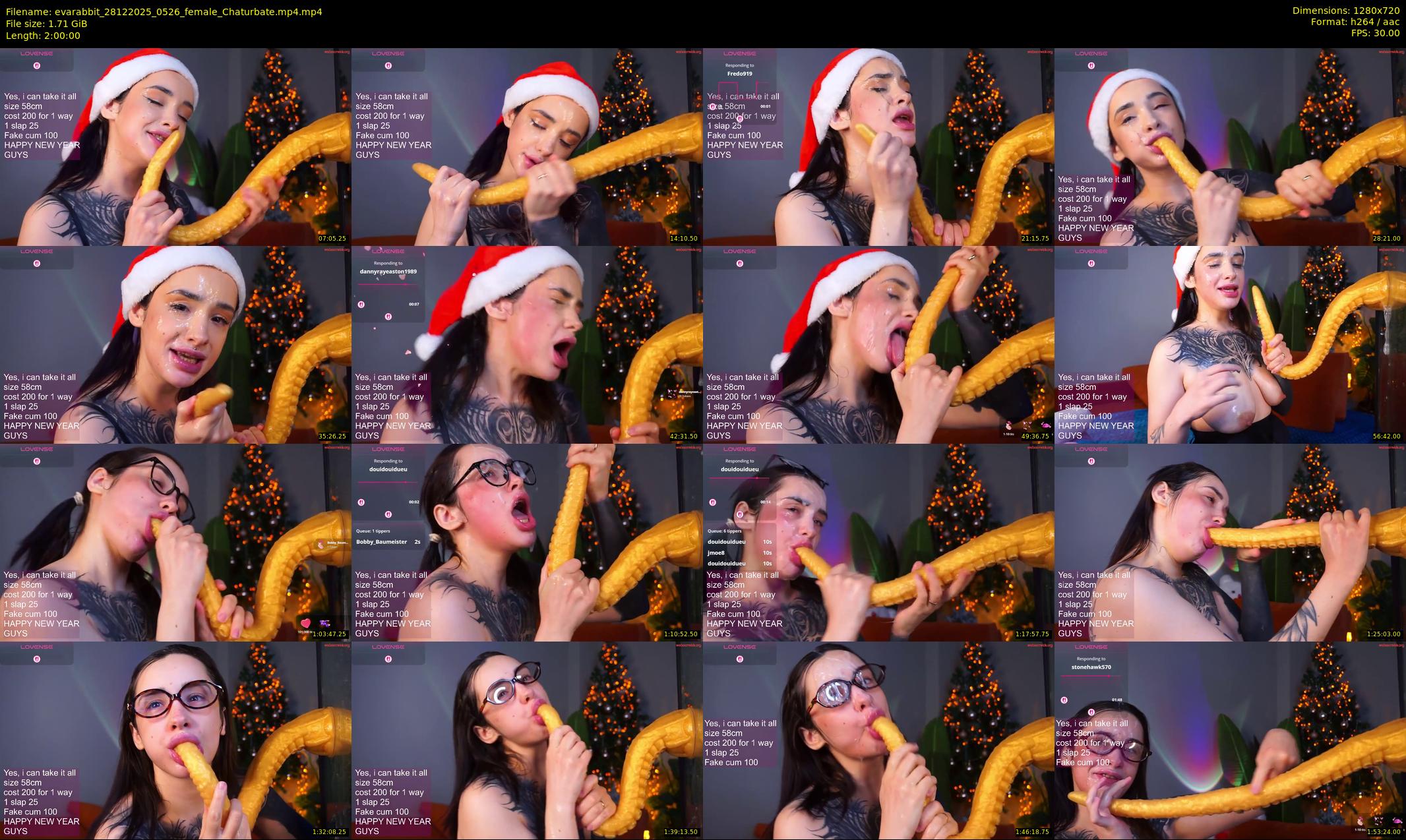 evarabbit — 120 minute Chaturbate female cam show recording, 720p, Dec 28, 2025