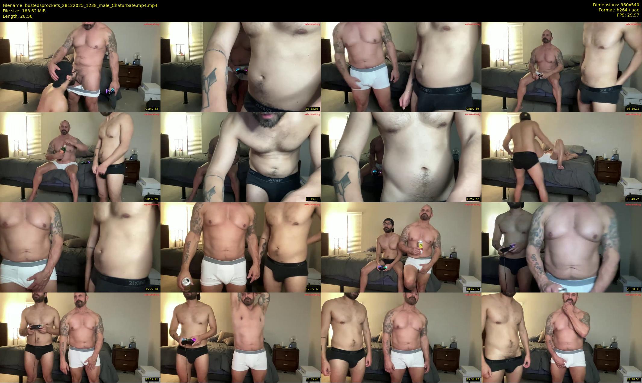 bustedsprockets — 29 minute Chaturbate male cam show recording, 480p, Dec 28, 2025