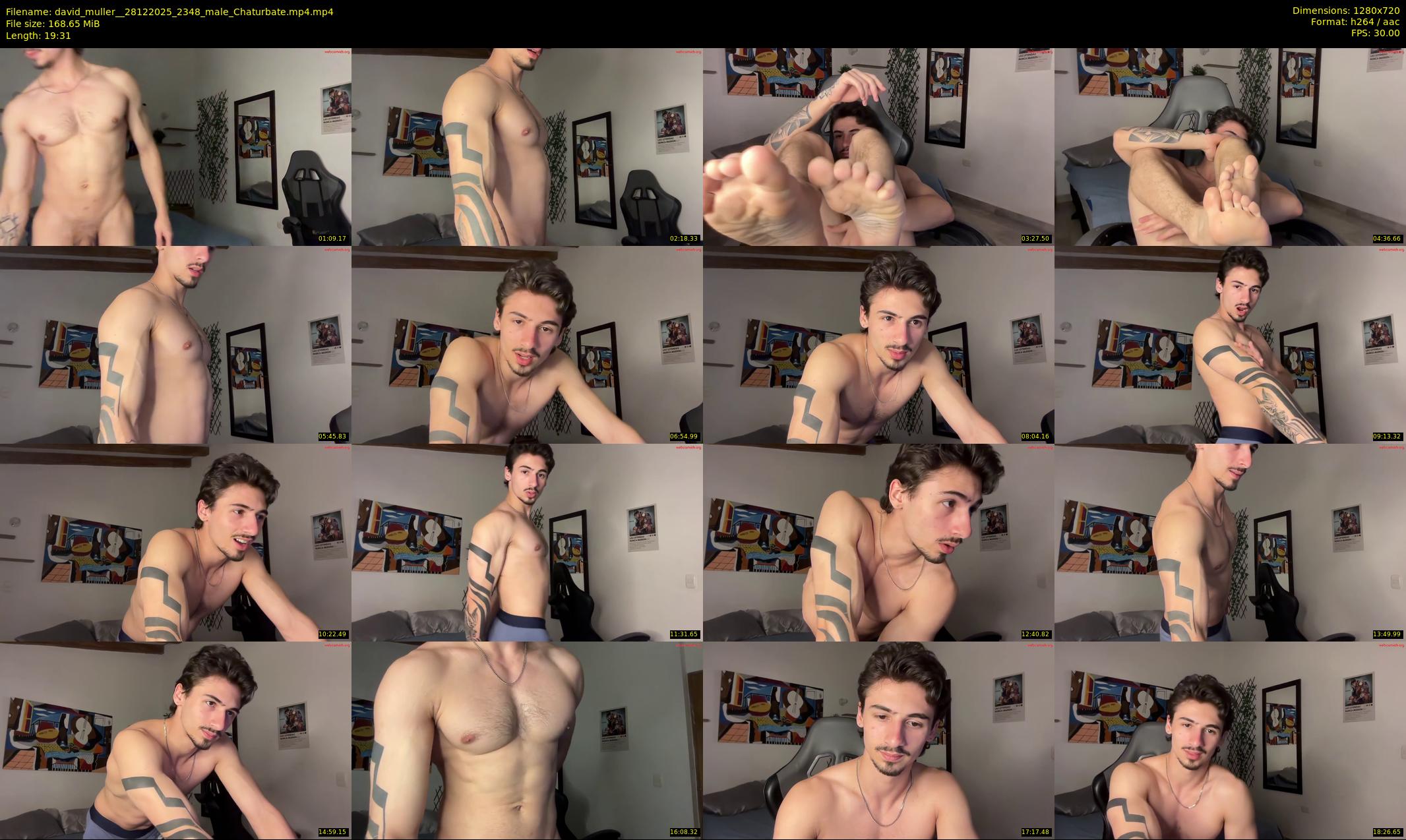 david_muller_ — 20 minute Chaturbate male cam show recording, 720p, Dec 28, 2025