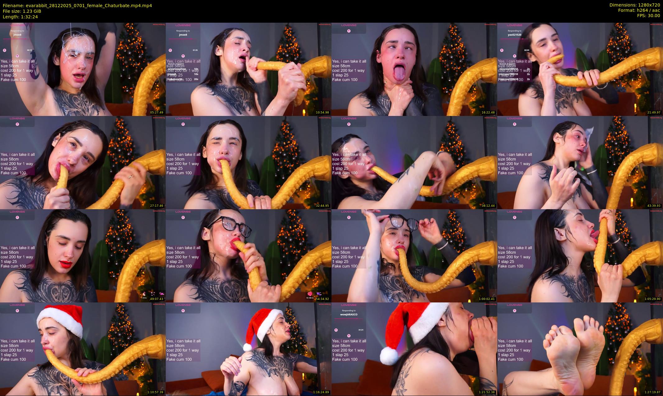 evarabbit — 93 minute Chaturbate female cam show recording, 720p, Dec 28, 2025