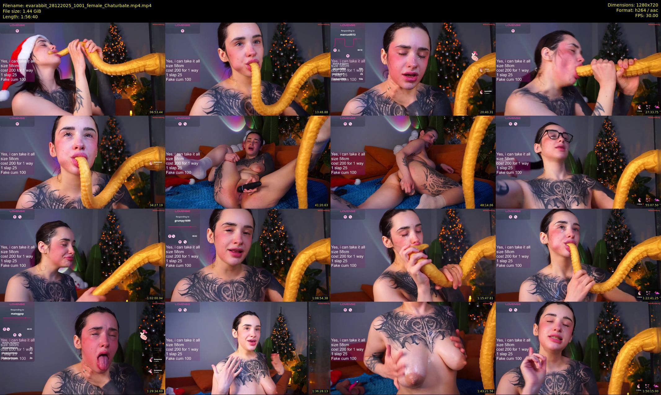evarabbit — 117 minute Chaturbate female cam show recording, 720p, Dec 28, 2025