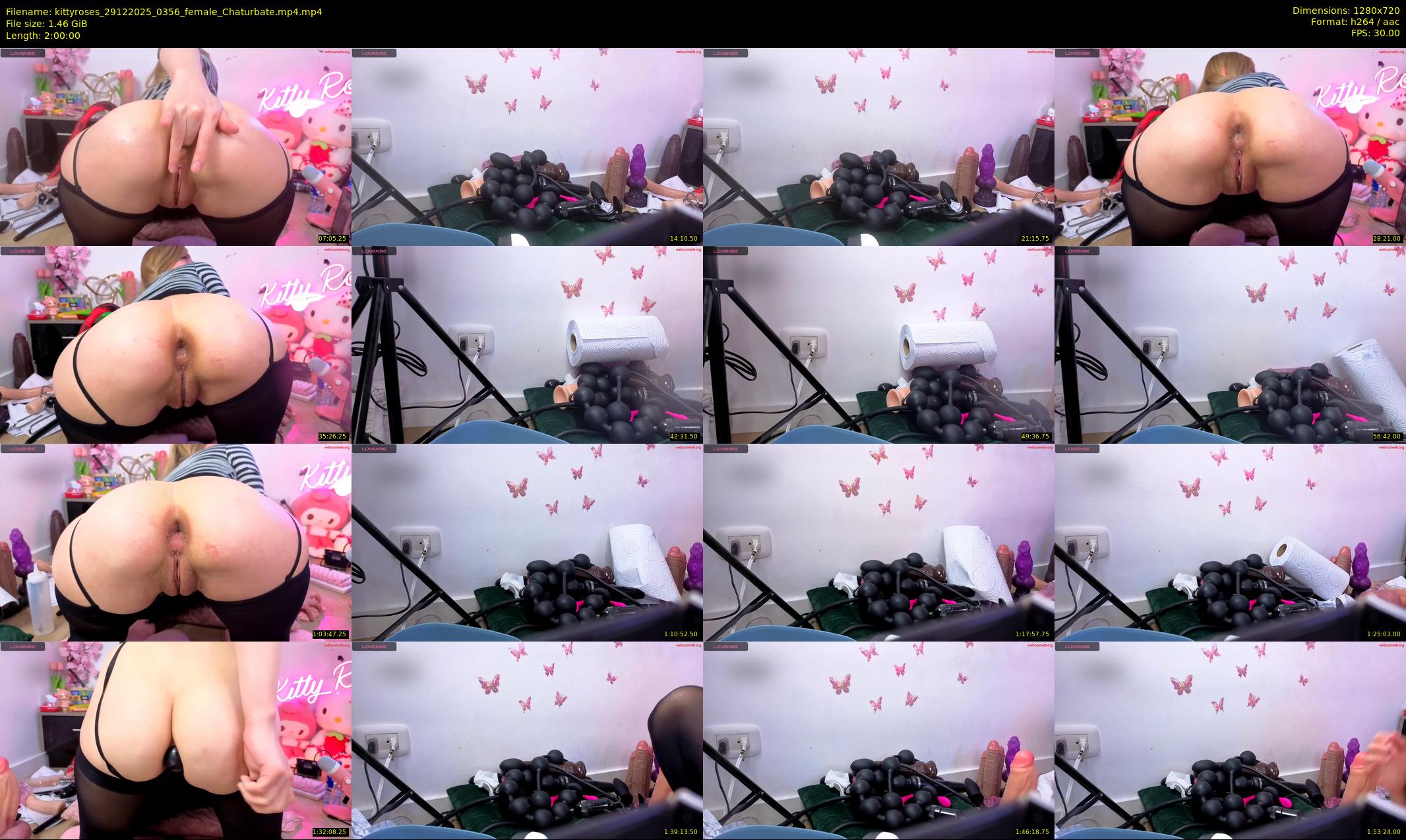 kittyroses — 120 minute Chaturbate female cam show recording, 720p, Dec 29, 2025