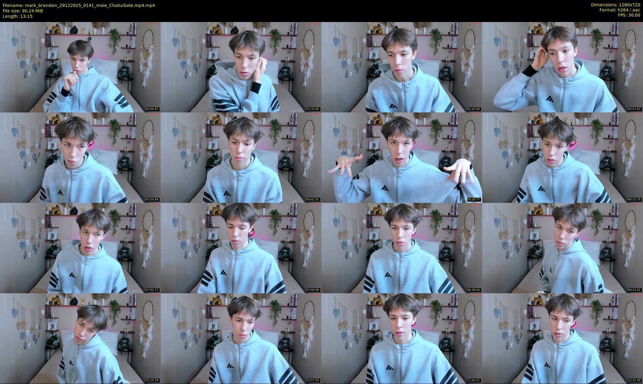 mark_branston — 14 minute Chaturbate male cam show recording, 720p, Dec 29, 2025