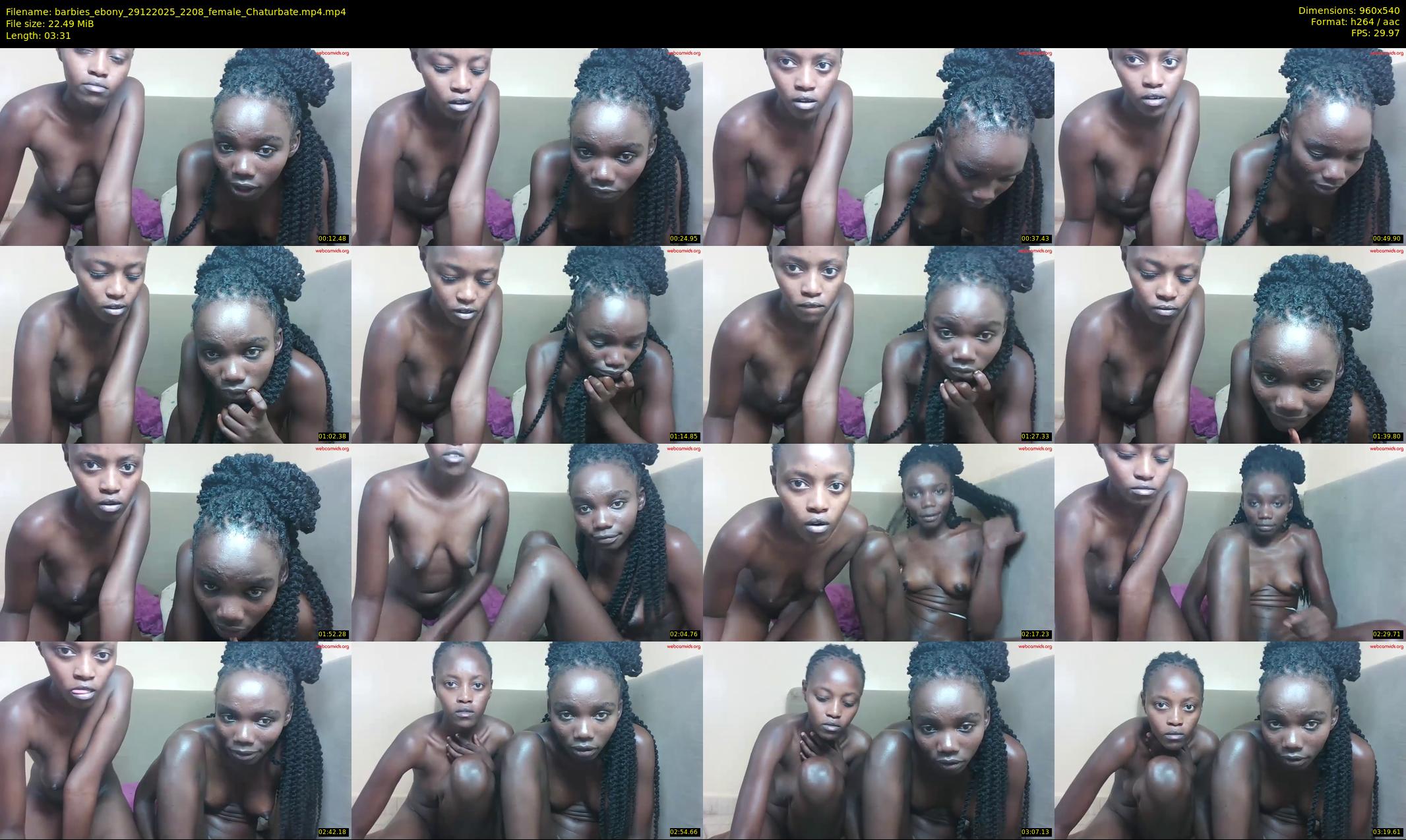 barbies_ebony — 4 minute Chaturbate female cam show recording, 480p, Dec 29, 2025