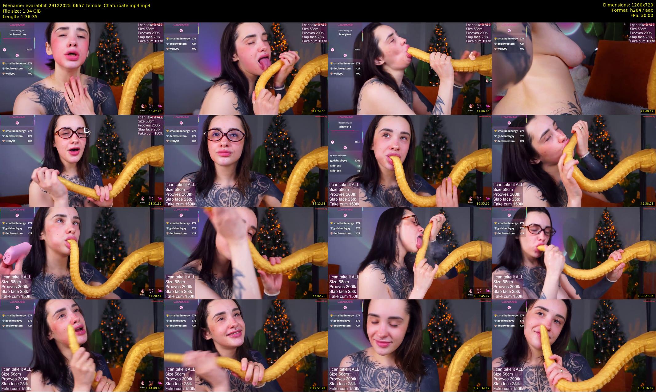 evarabbit — 97 minute Chaturbate female cam show recording, 720p, Dec 29, 2025