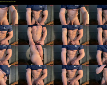 dakken2021 — 13 minute Chaturbate male cam show recording, 480p, Dec 30, 2025