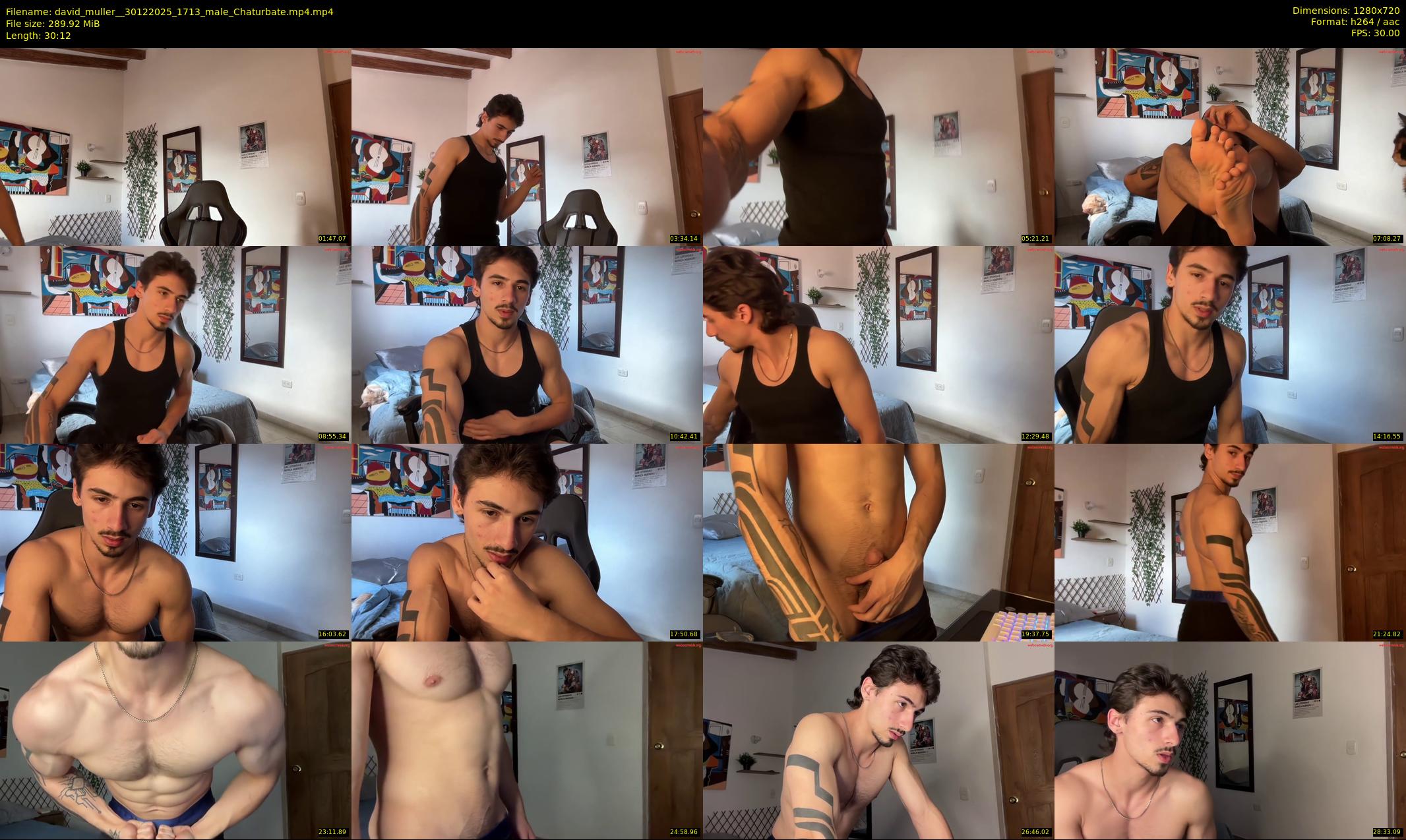 david_muller_ — 31 minute Chaturbate male cam show recording, 720p, Dec 30, 2025