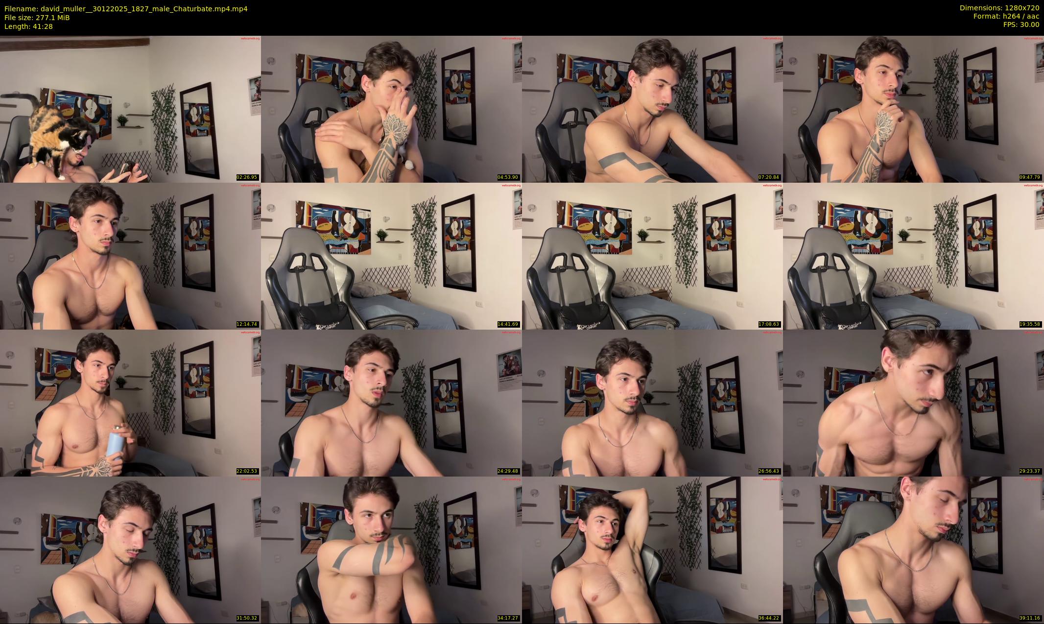 david_muller_ — 42 minute Chaturbate male cam show recording, 720p, Dec 30, 2025