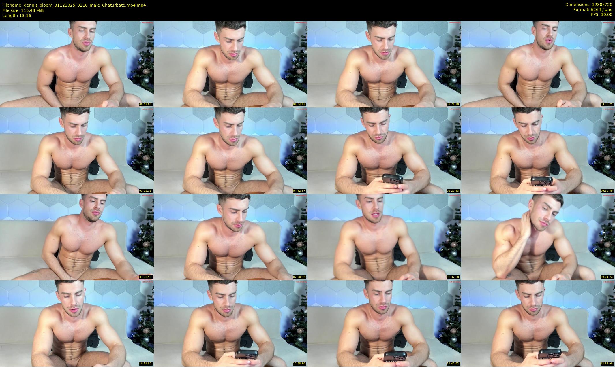 dennis_bloom — 14 minute Chaturbate male cam show recording, 720p, Dec 31, 2025