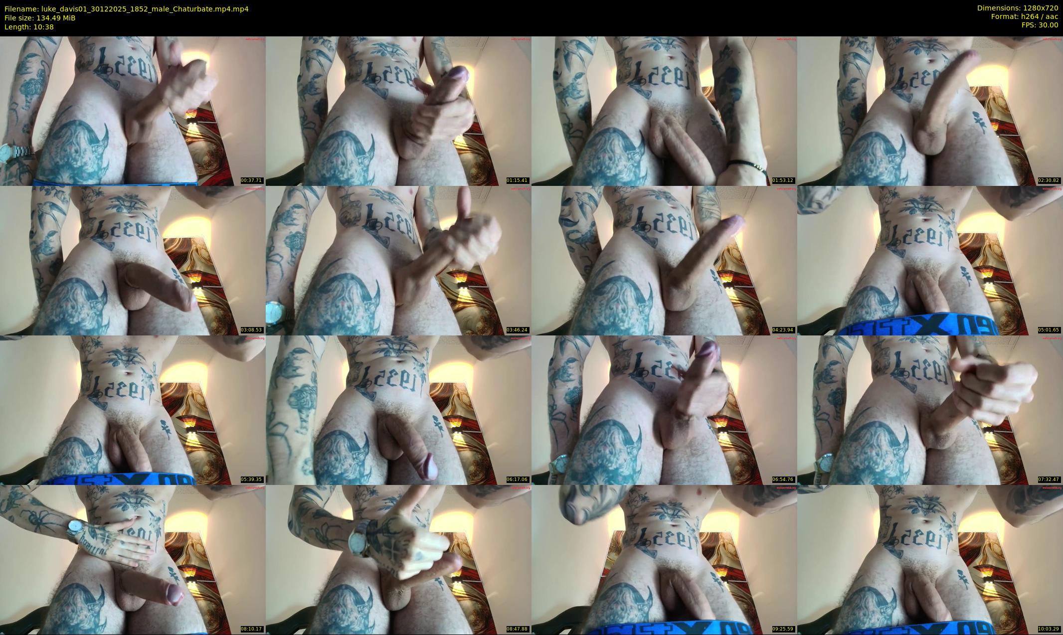 luke_davis01 — 11 minute Chaturbate male cam show recording, 720p, Dec 30, 2025
