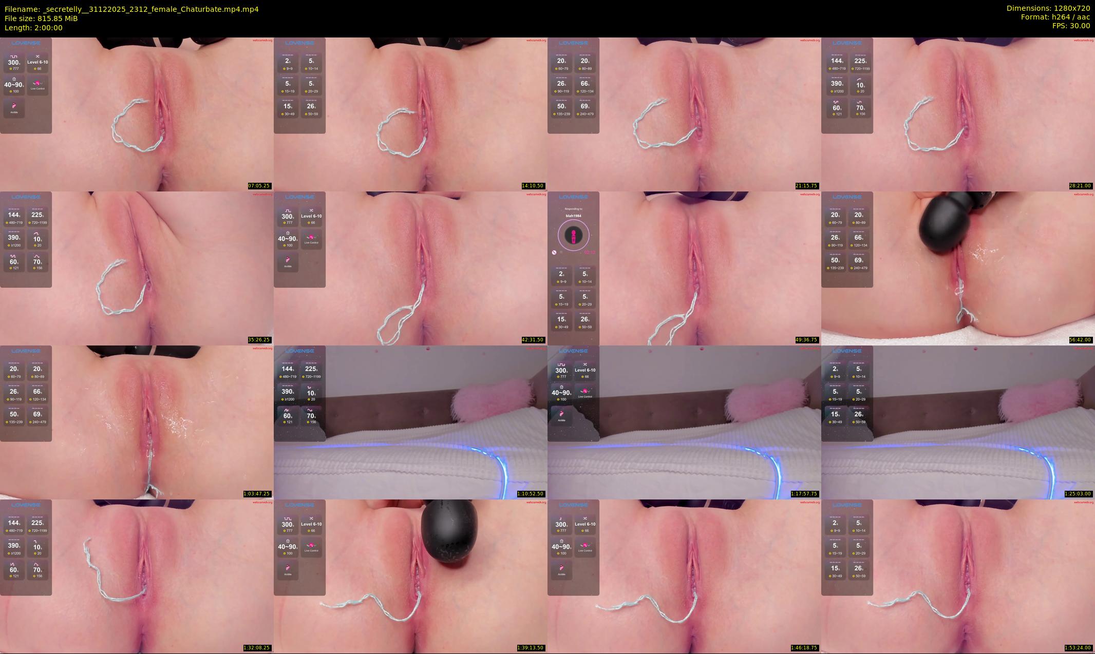 _secretelly_ — 120 minute Chaturbate female cam show recording, 720p, Dec 31, 2025