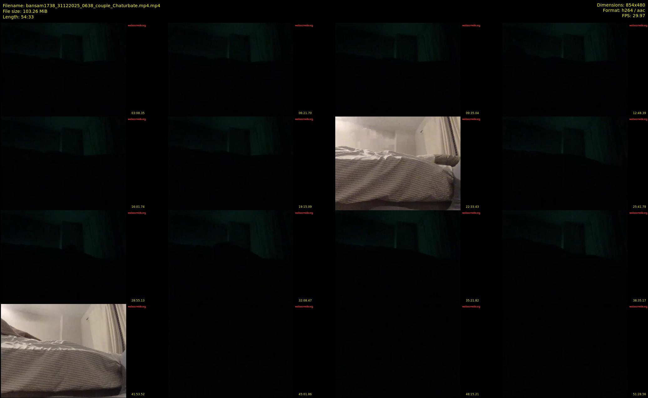 bansam1738 — 55 minute Chaturbate female cam show recording, 480p, Dec 31, 2025