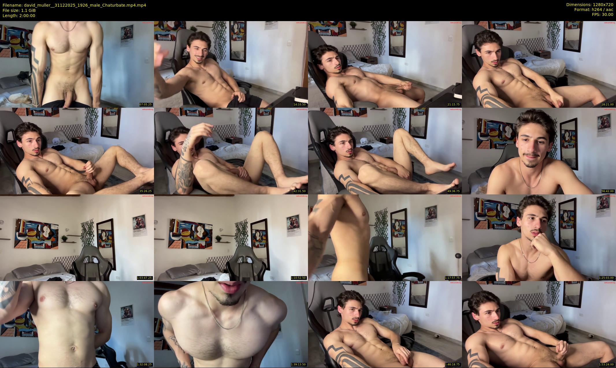 david_muller_ — 120 minute Chaturbate male cam show recording, 720p, Dec 31, 2025