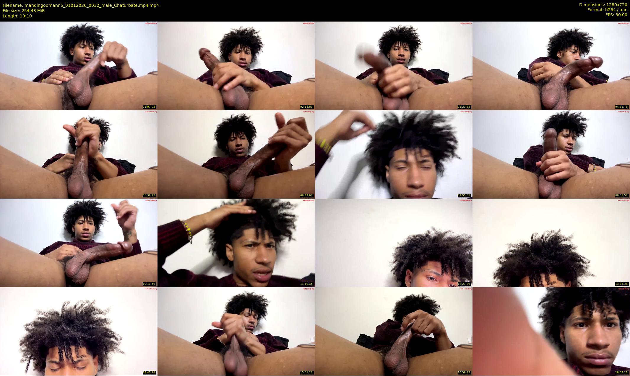 mandingoomann5 — 20 minute Chaturbate male cam show recording, 720p, Jan 1, 2026