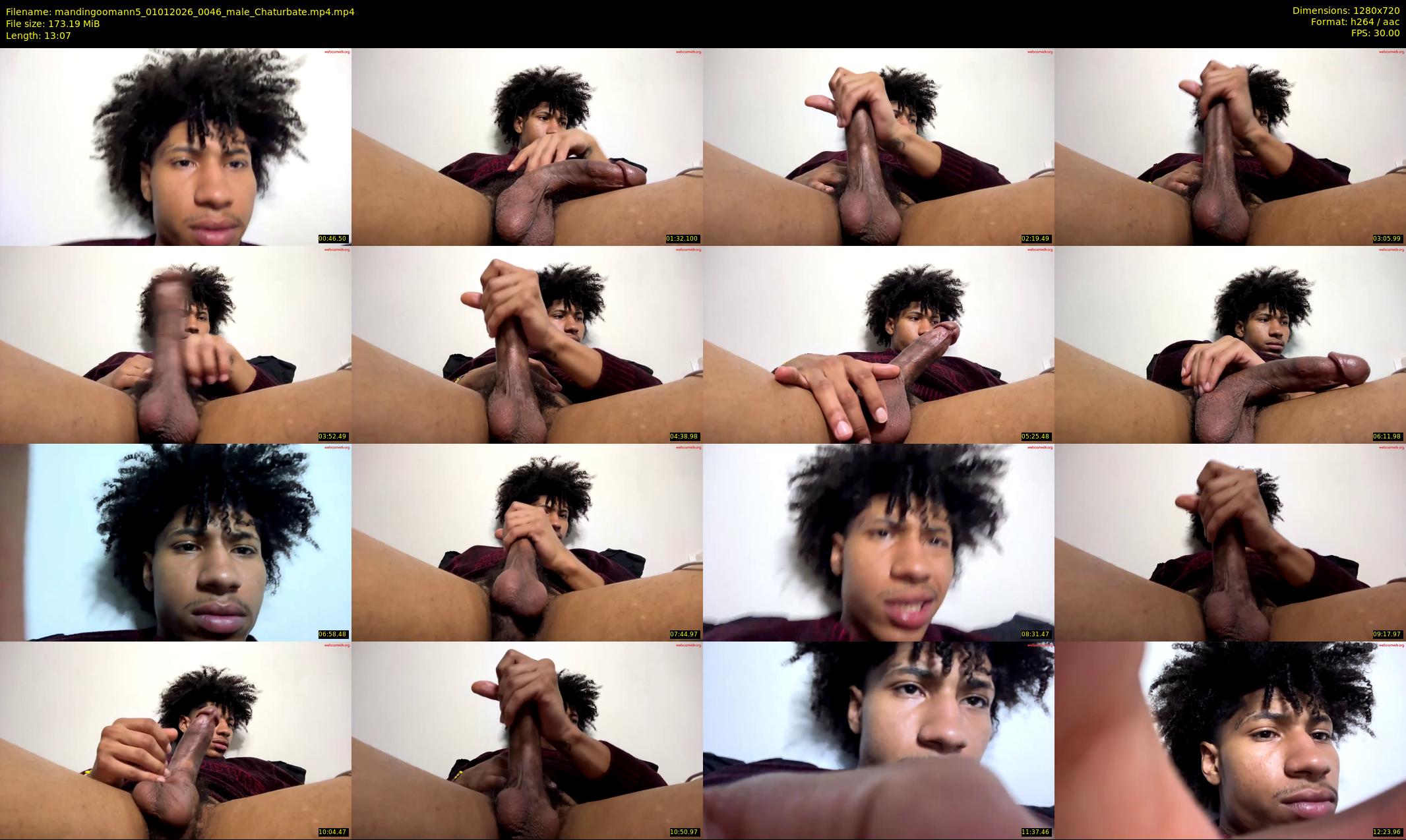mandingoomann5 — 14 minute Chaturbate male cam show recording, 720p, Jan 1, 2026