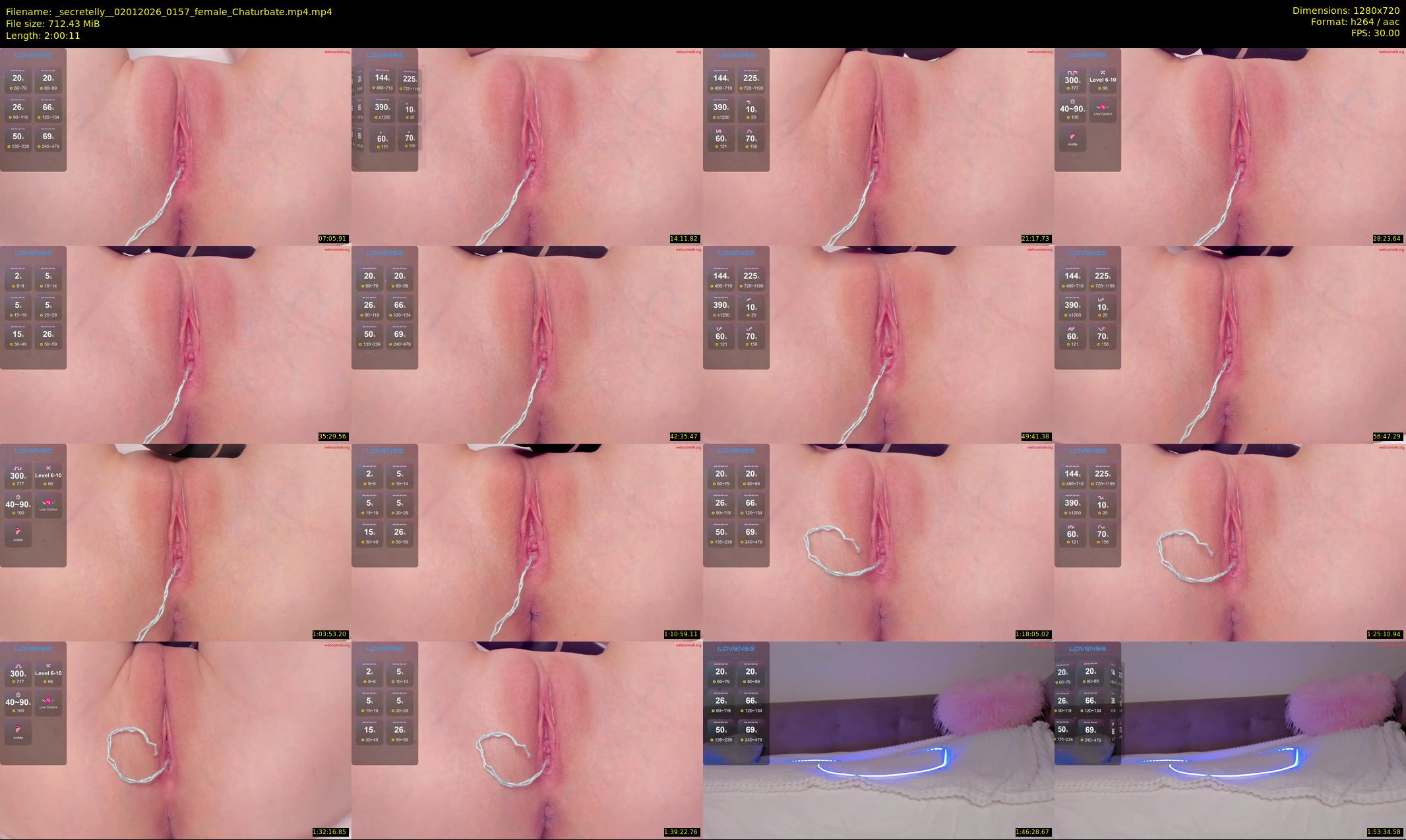 _secretelly_ — 121 minute Chaturbate female cam show recording, 720p, Jan 2, 2026
