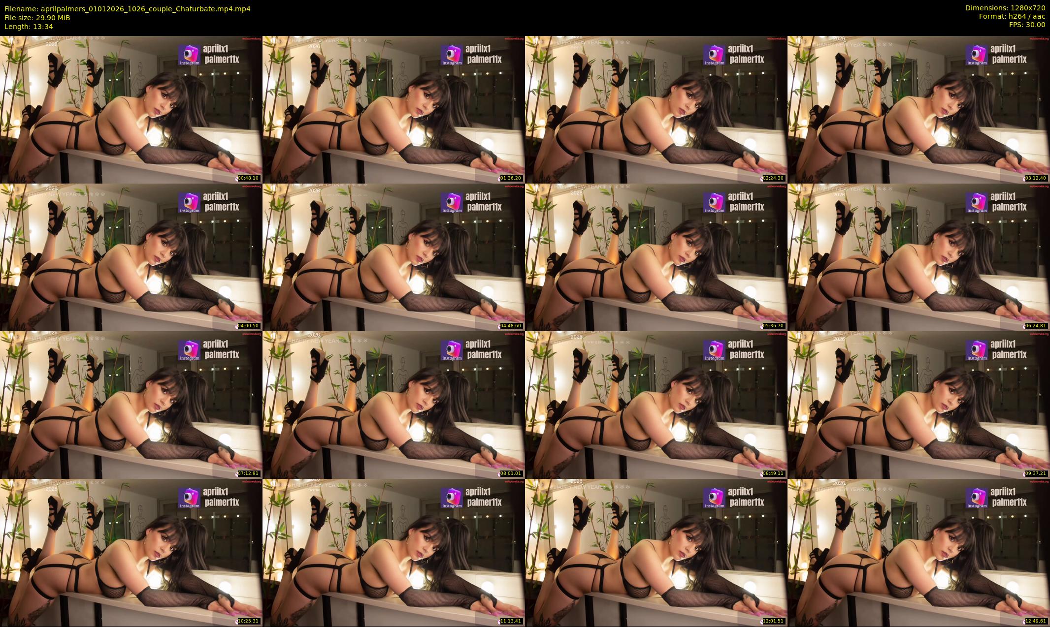 aprilpalmers — 14 minute Chaturbate female cam show recording, 720p, Jan 1, 2026