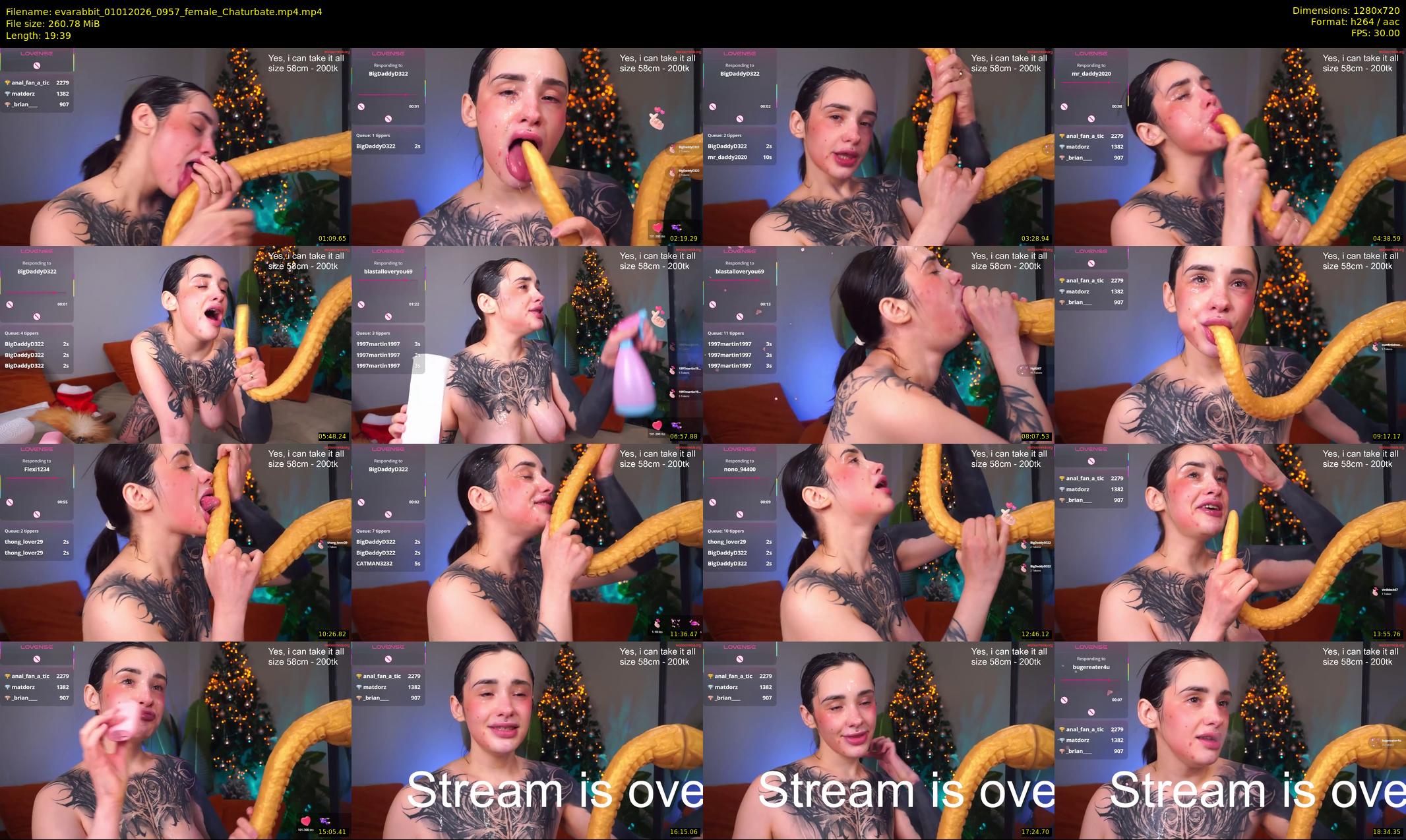 evarabbit — 20 minute Chaturbate female cam show recording, 720p, Jan 1, 2026