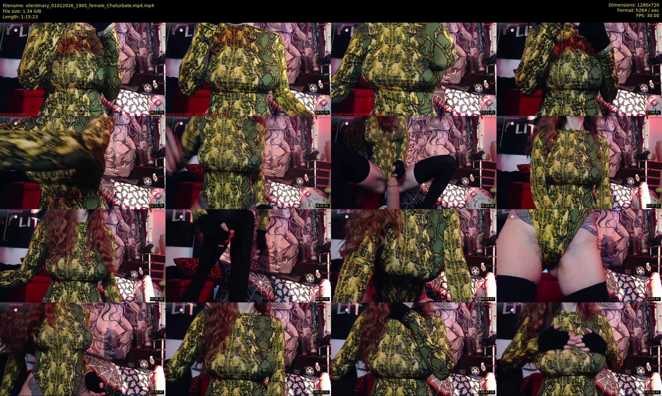 silentmary — 76 minute Chaturbate female cam show recording, 720p, Jan 1, 2026