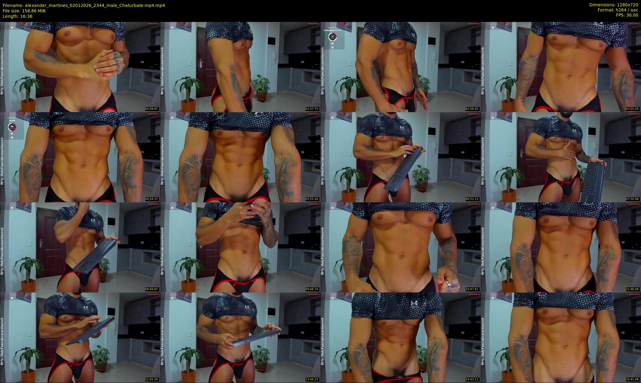 alexander_martines — 17 minute Chaturbate male cam show recording, 720p, Jan 2, 2026