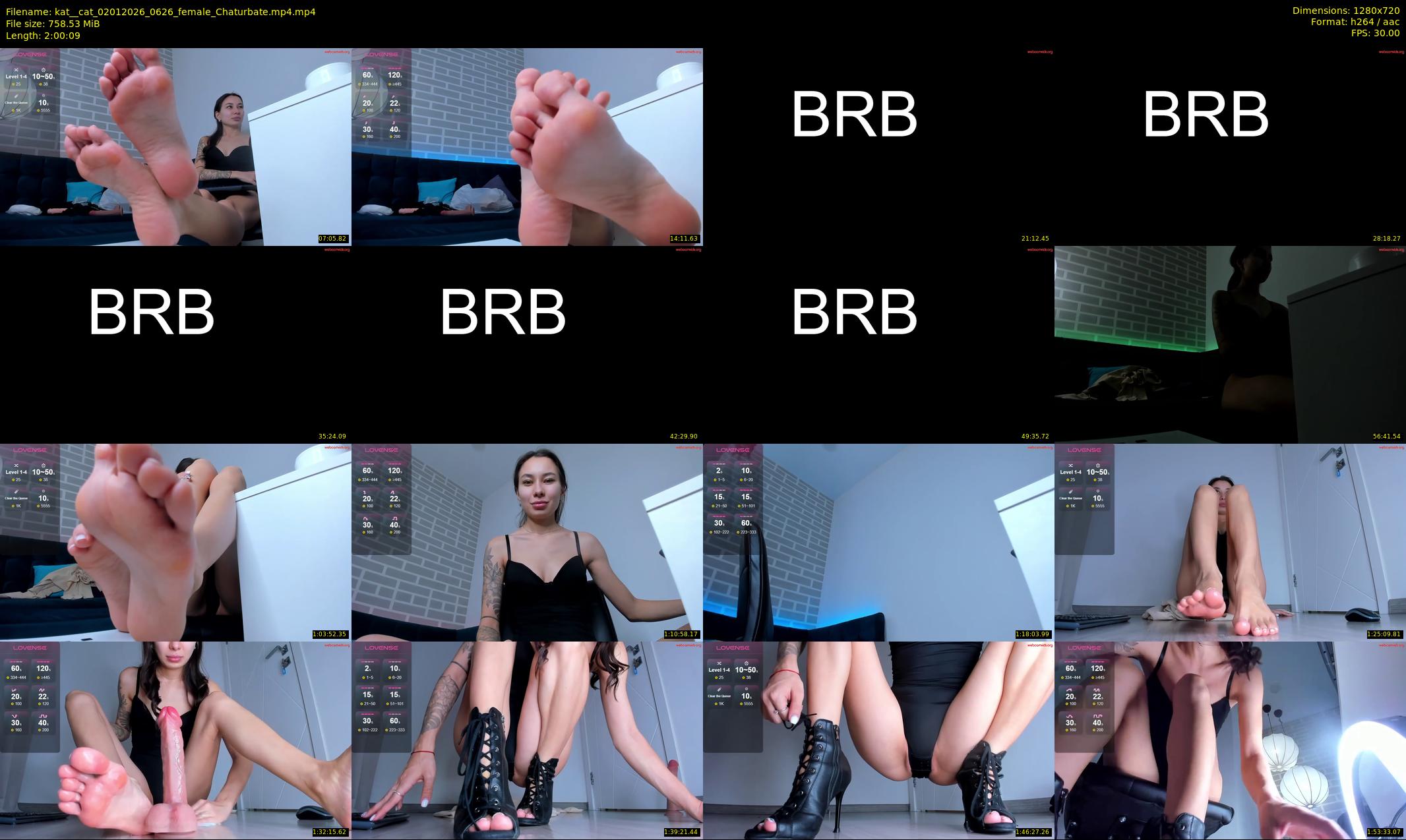kat__cat — 121 minute Chaturbate female cam show recording, 720p, Jan 2, 2026