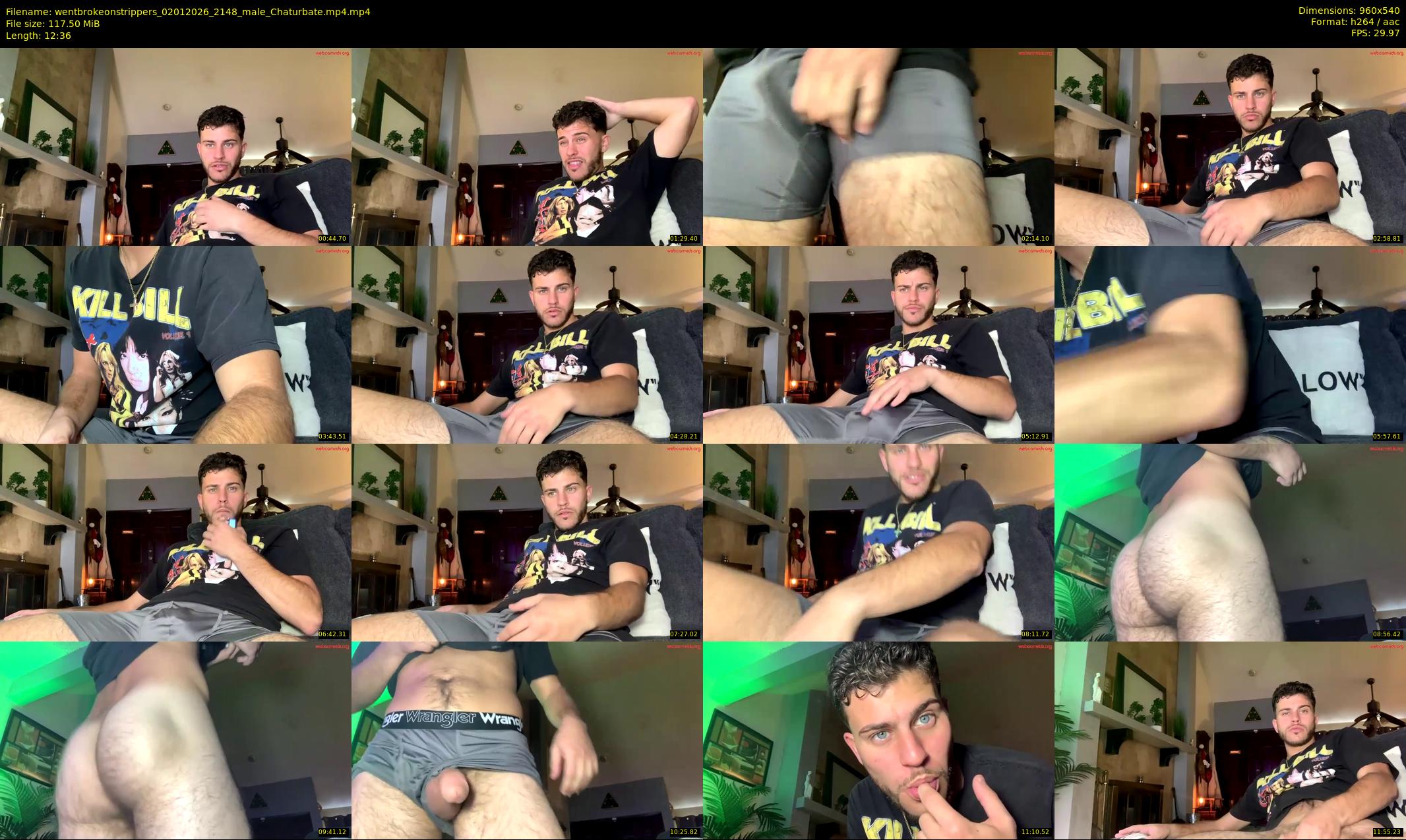 wentbrokeonstrippers — 13 minute Chaturbate male cam show recording, 480p, Jan 2, 2026