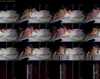 xxverabbyxx — 5 minute Chaturbate female cam show recording, 480p, Jan 2, 2026
