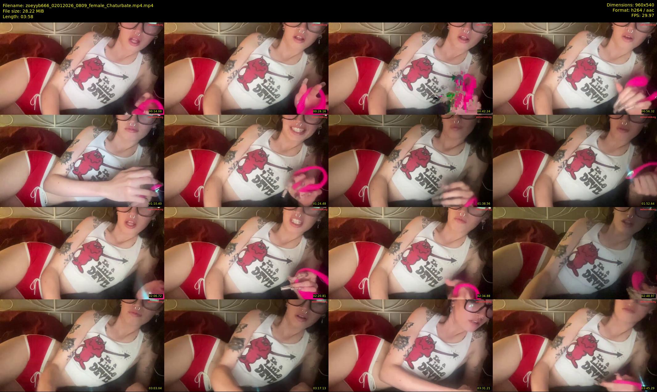 zoeyyb666 — 4 minute Chaturbate female cam show recording, 480p, Jan 2, 2026