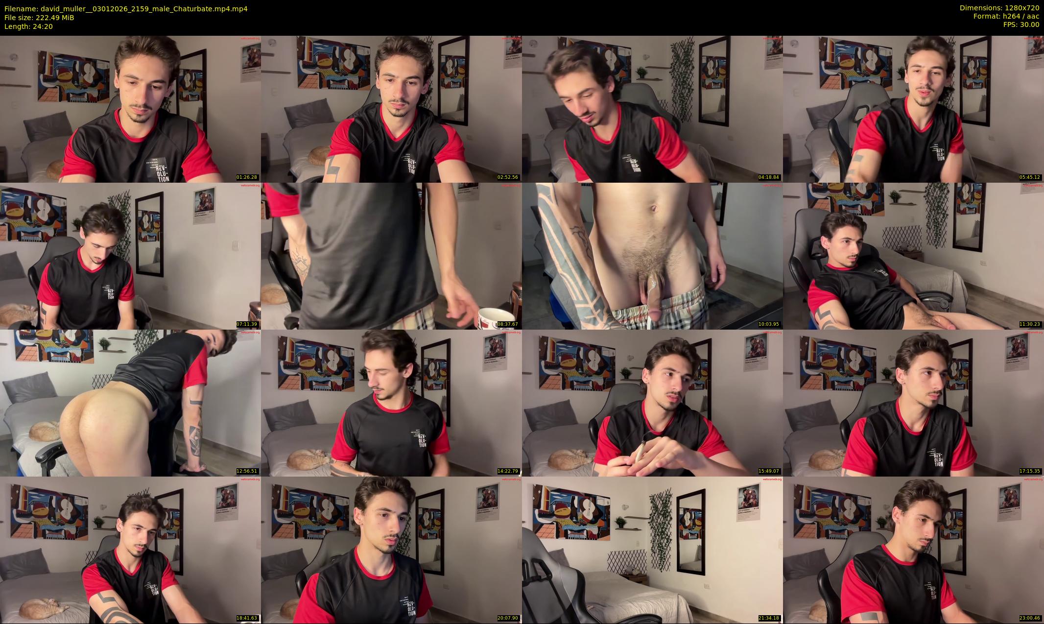 david_muller_ — 25 minute Chaturbate male cam show recording, 720p, Jan 3, 2026