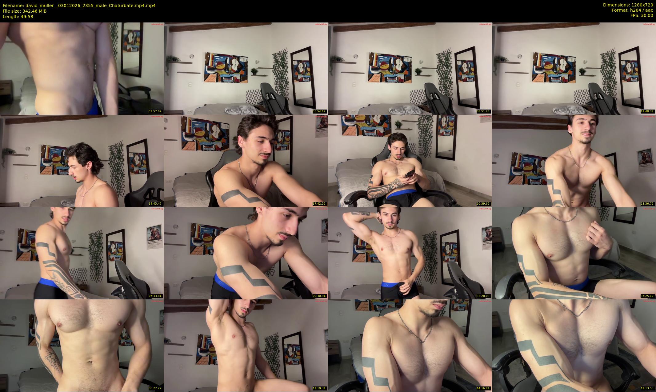 david_muller_ — 50 minute Chaturbate male cam show recording, 720p, Jan 3, 2026