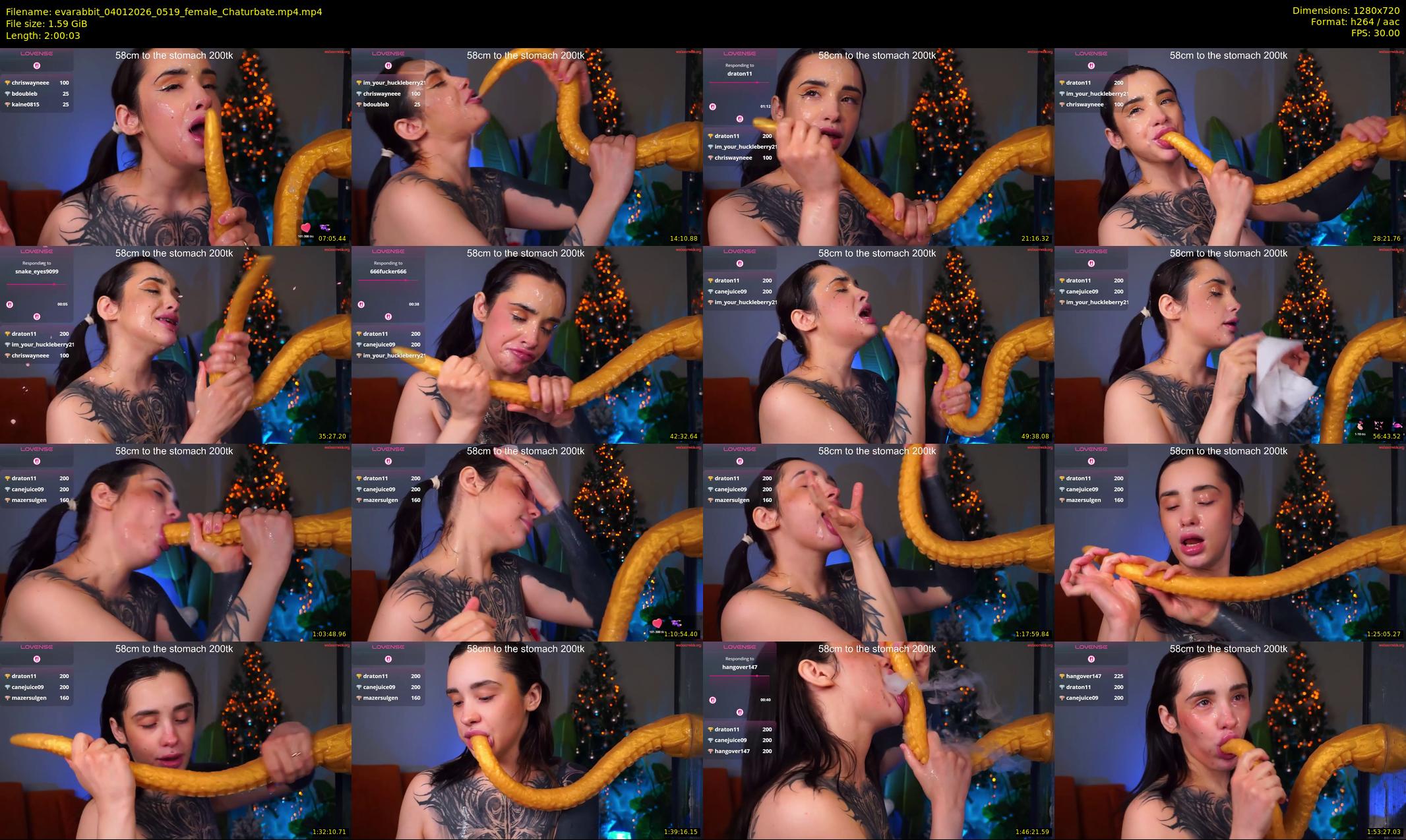 evarabbit — 121 minute Chaturbate female cam show recording, 720p, Jan 4, 2026