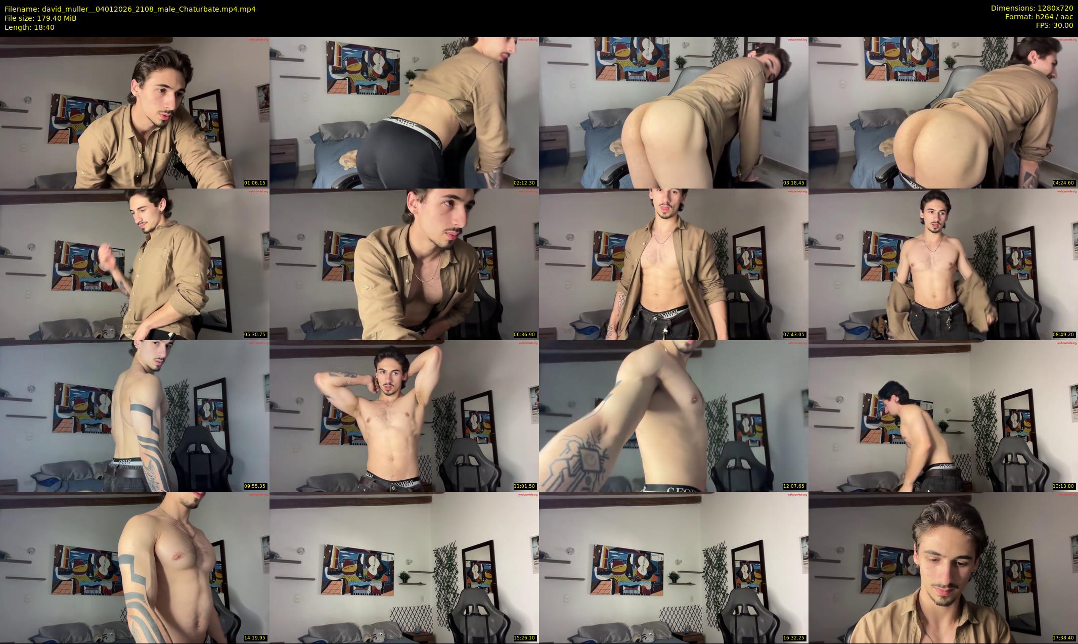 david_muller_ — 19 minute Chaturbate male cam show recording, 720p, Jan 4, 2026