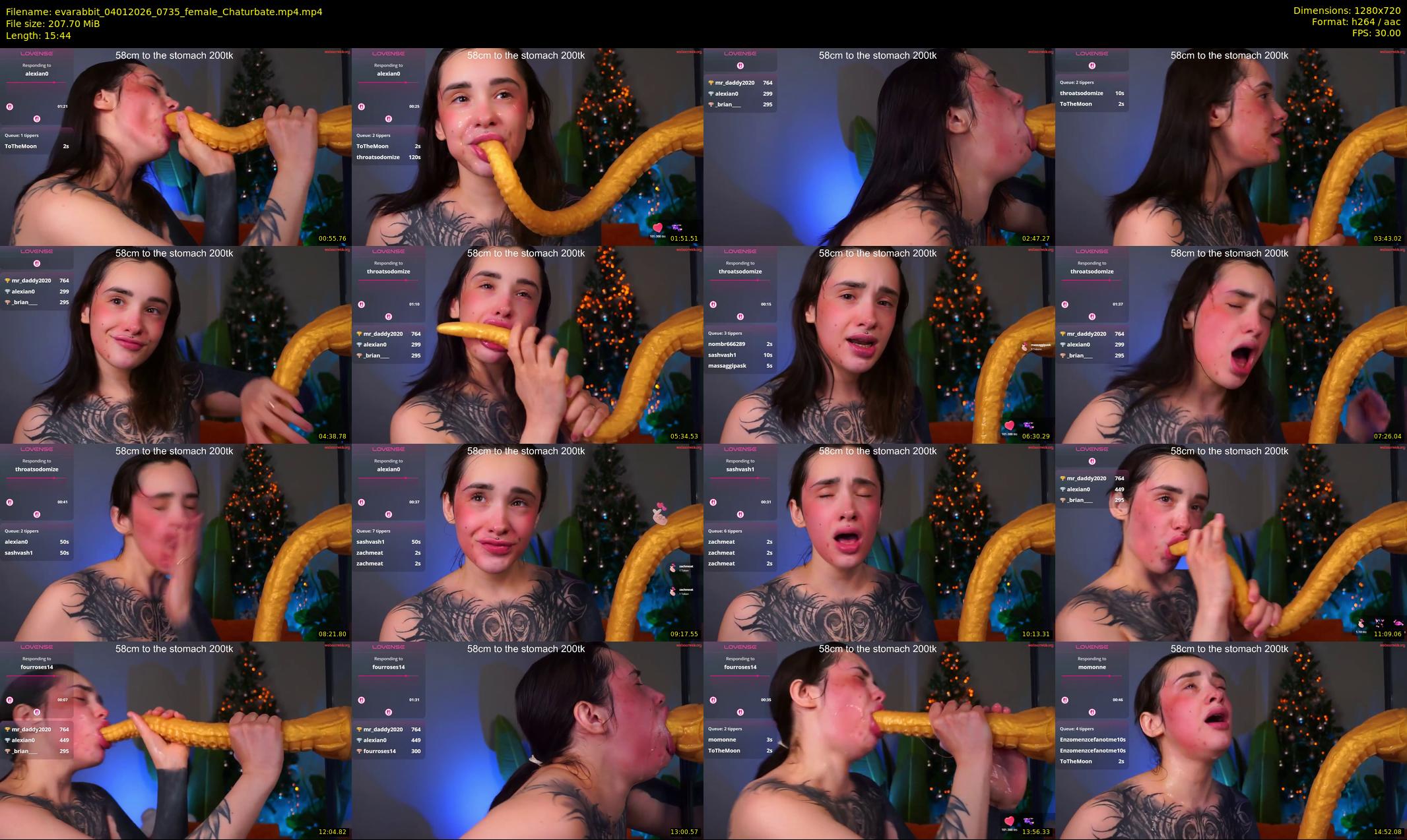 evarabbit — 16 minute Chaturbate female cam show recording, 720p, Jan 4, 2026