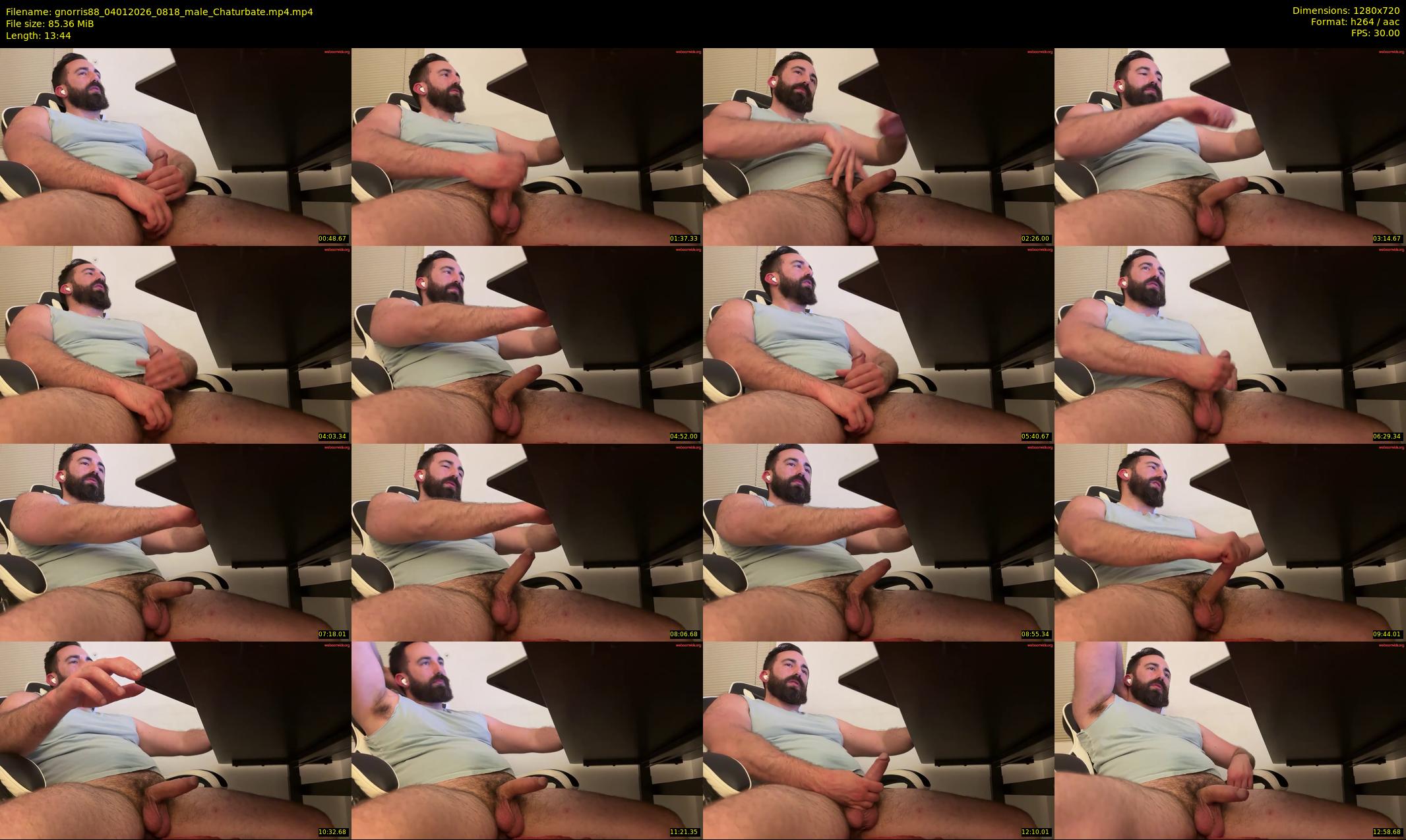 gnorris88 — 14 minute Chaturbate male cam show recording, 720p, Jan 4, 2026