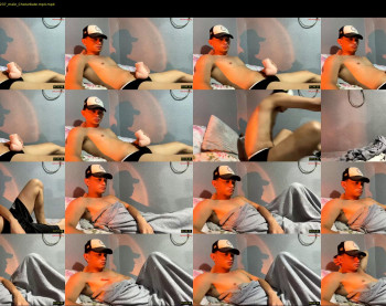 mrshawn95 — 10 minute Chaturbate male cam show recording, 480p, Jan 4, 2026